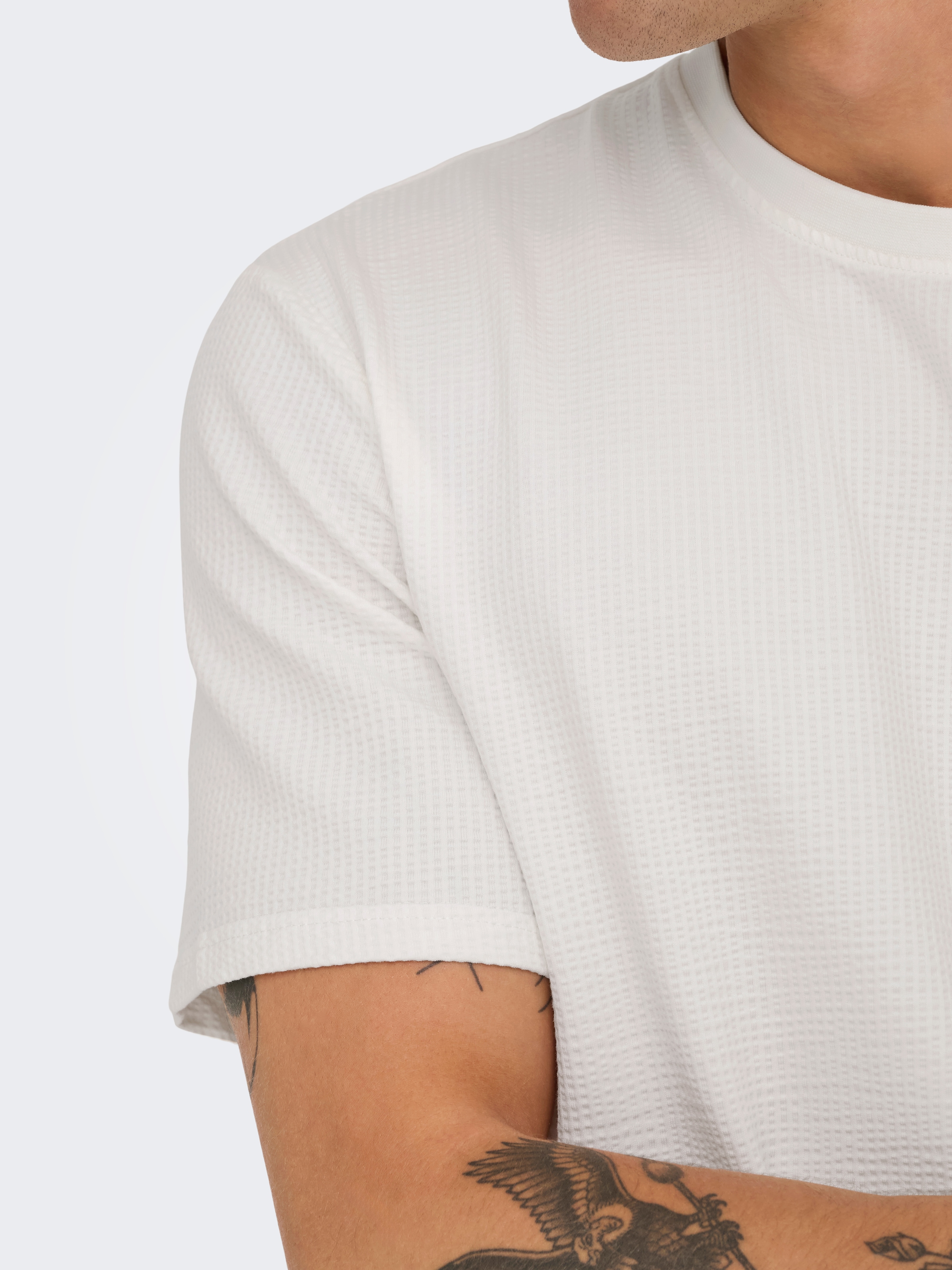 ONLY & SONS Rundhalsshirt »ONSKIAN LIFE REG SEERSUCKER SS TEE NOOS«