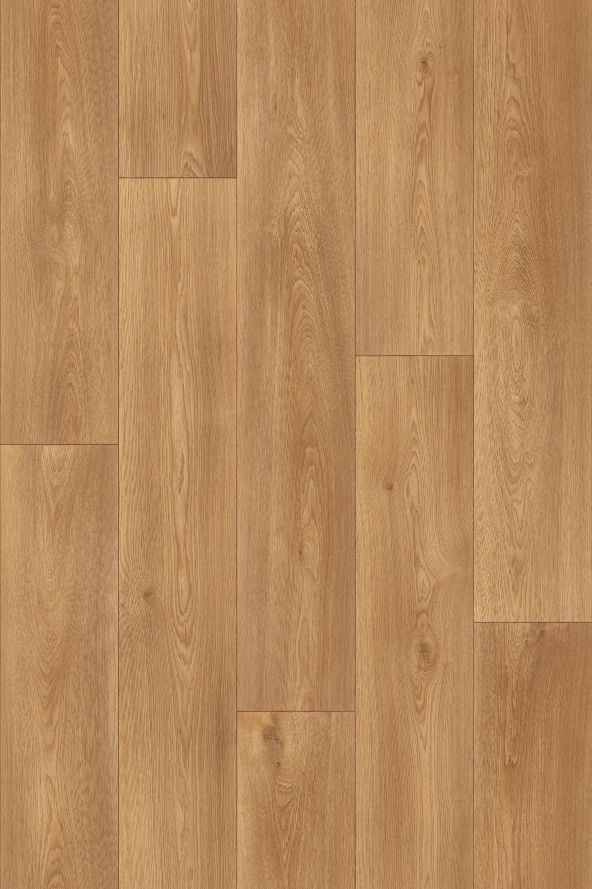 Image of Andiamo Vinylboden »Lech«, Meterware, Breite 400 oder 500 cm, Holzoptik bei Ackermann Versand Schweiz