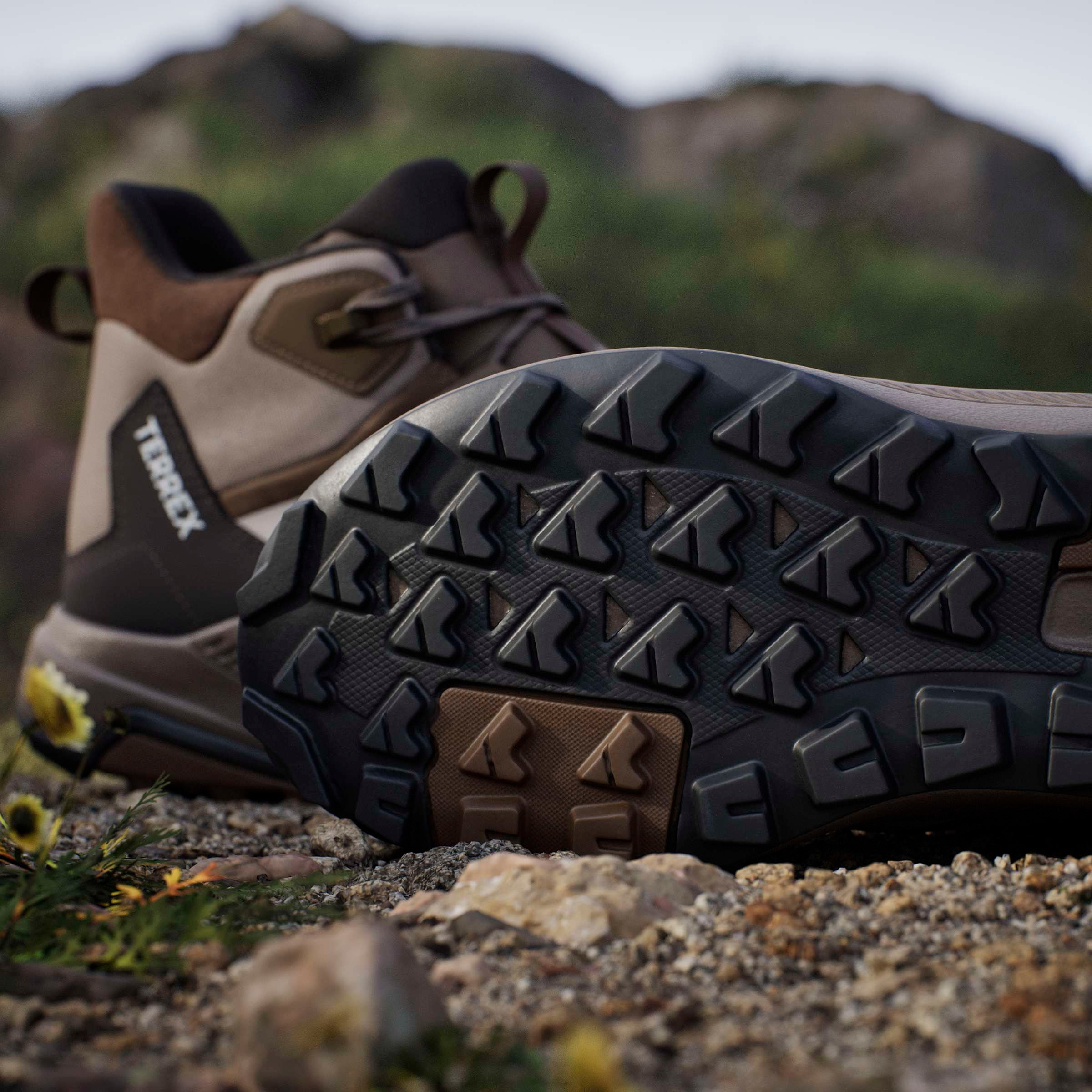 adidas TERREX Wanderschuh »ANYLANDER MID , LEDER«  aus Leder