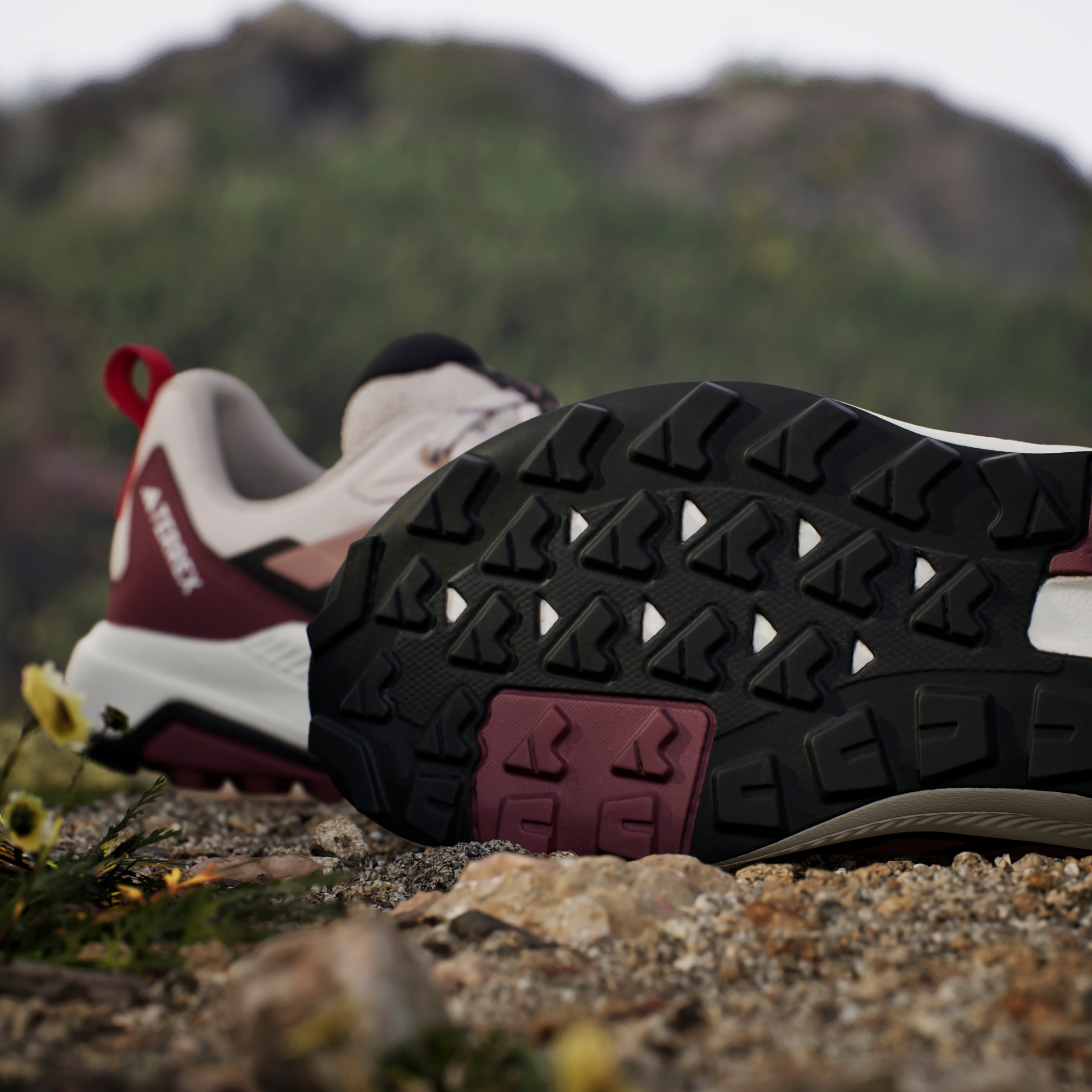 adidas TERREX Wanderschuh »TERREX ANYLANDER«