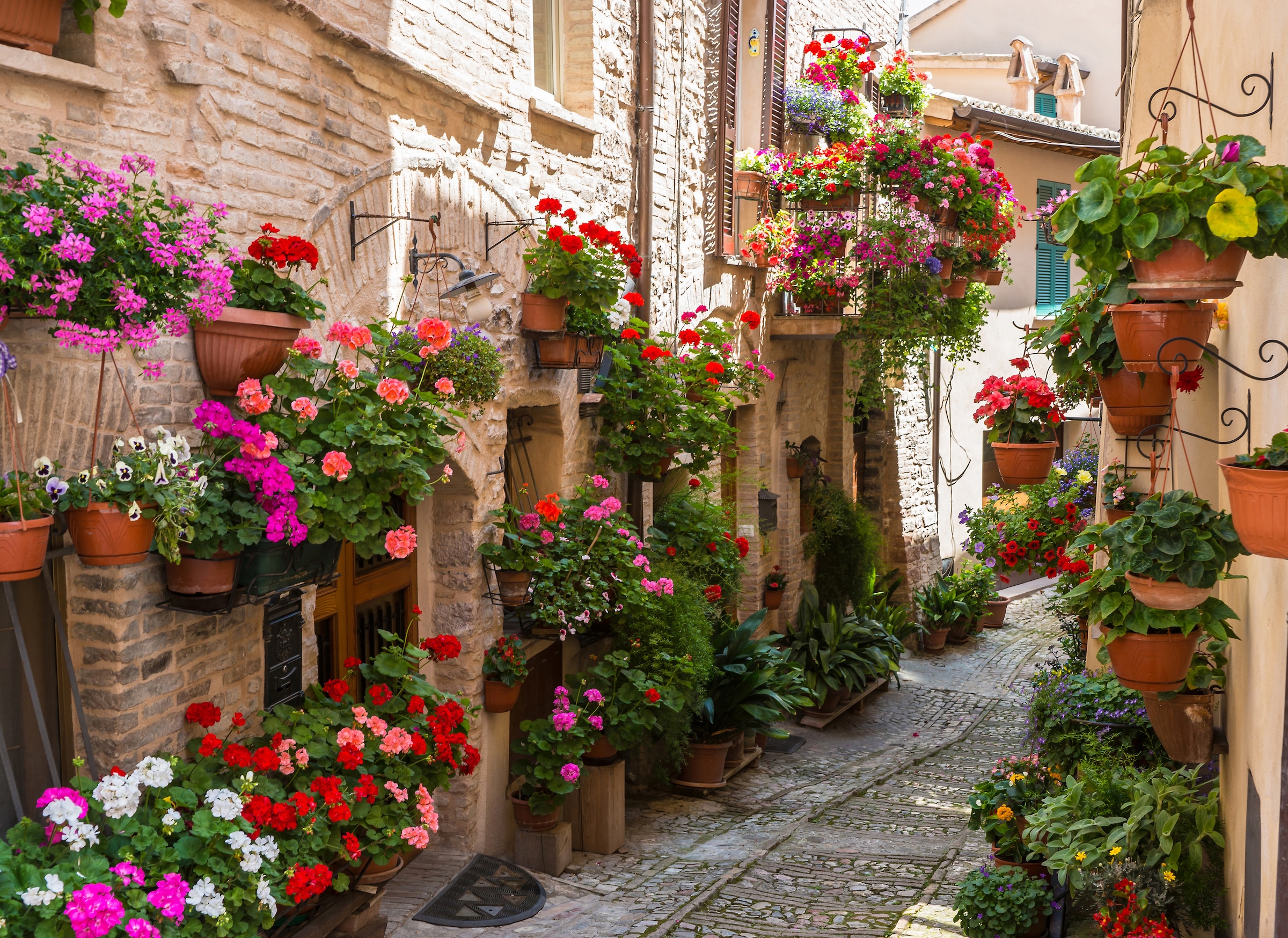 Image of Papermoon Fototapete "Flower Alley in Spello" glatt