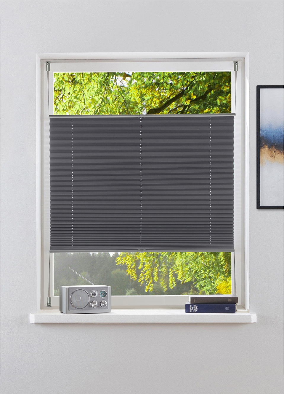Image of GOODproduct Plissee "LAHOLM UNI DARK, ohne Bohren, verdunkelnd, Klemmfix" verdunkelnd ohne Bohren verspannt verdunkelnd, Klemmträger in Unifarben passend zum Plissee -NEUHEIT
