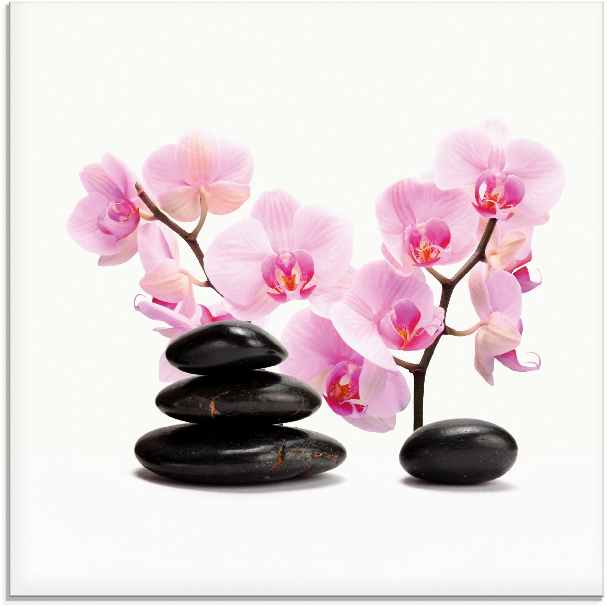 Image of Artland Glasbild "Schwarze Steine und pinke Orchidee" Zen 1 Stk. tlg. in verschiedenen Grössen