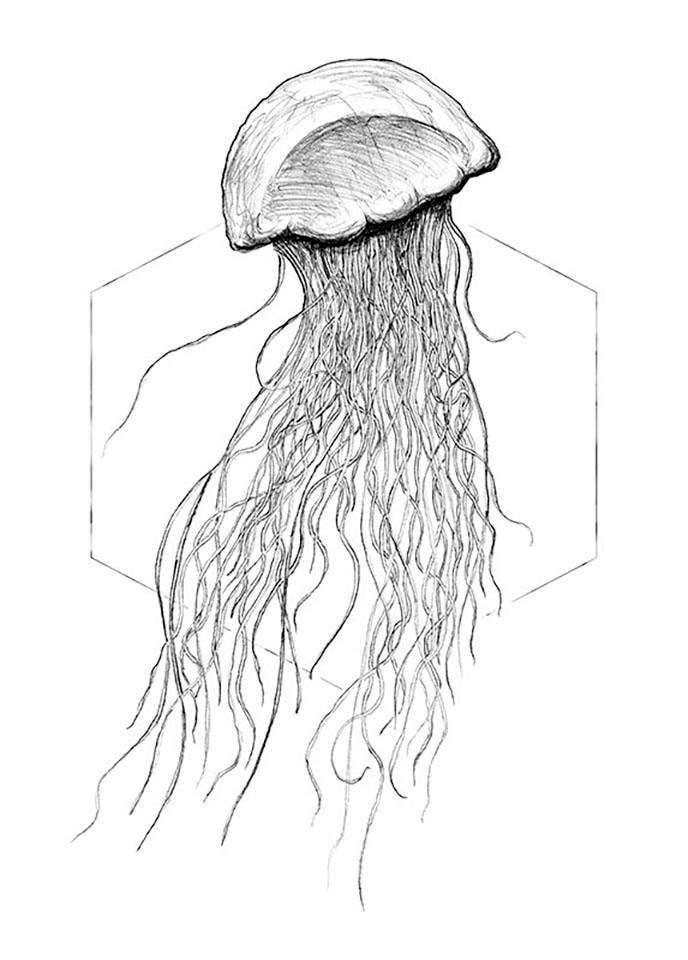 Image of Komar Bild "Jellyfish White" Tiere 1 Stk. tlg. Wandbild zur Dekoration - ohne Rahmen