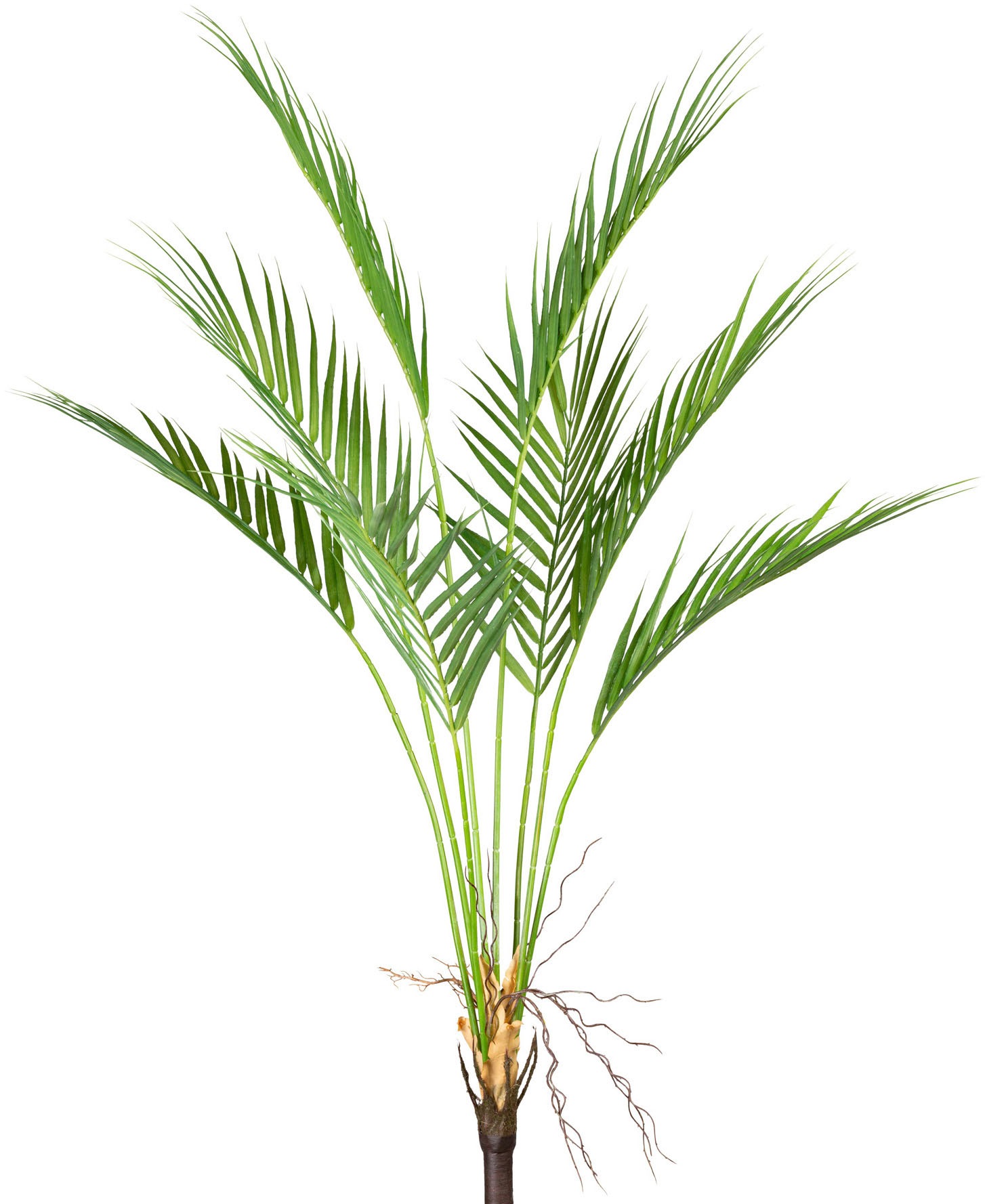 Image of Creativ green Kunstzweig »Arecapalme«, (1 St.) bei Ackermann Versand Schweiz