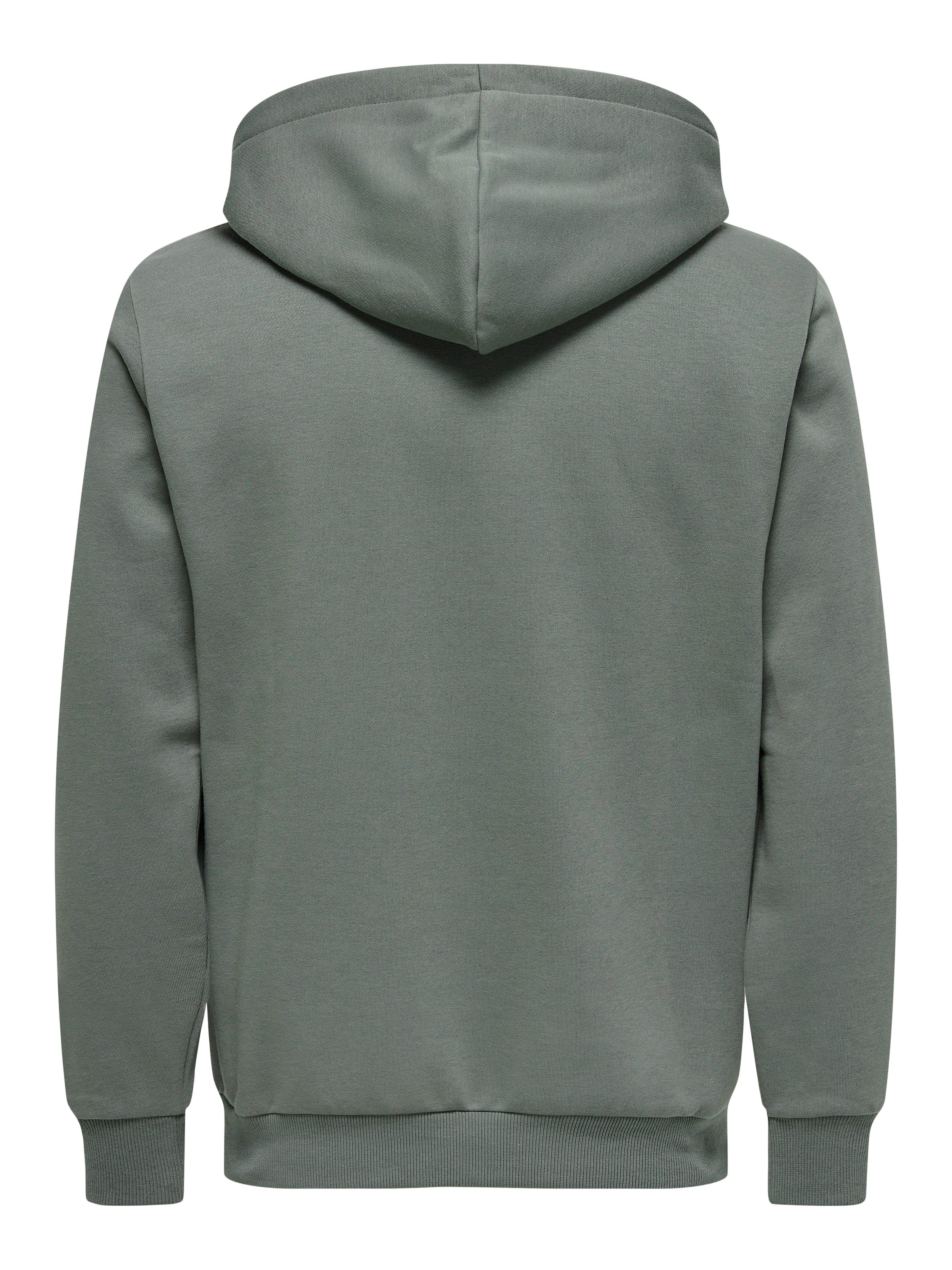 ONLY & SONS Sweat à capuche »ONSCERES ZIP THR. HOODIE SWEAT NOOS«