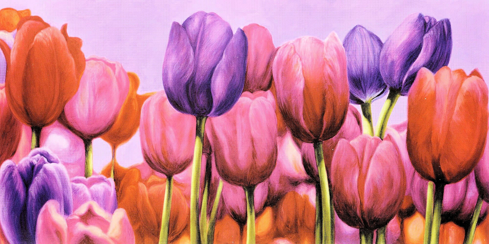 Image of my home Deco-Panel »CORTESE / Campo di Tulipani«, (1 St.) bei Ackermann Versand Schweiz