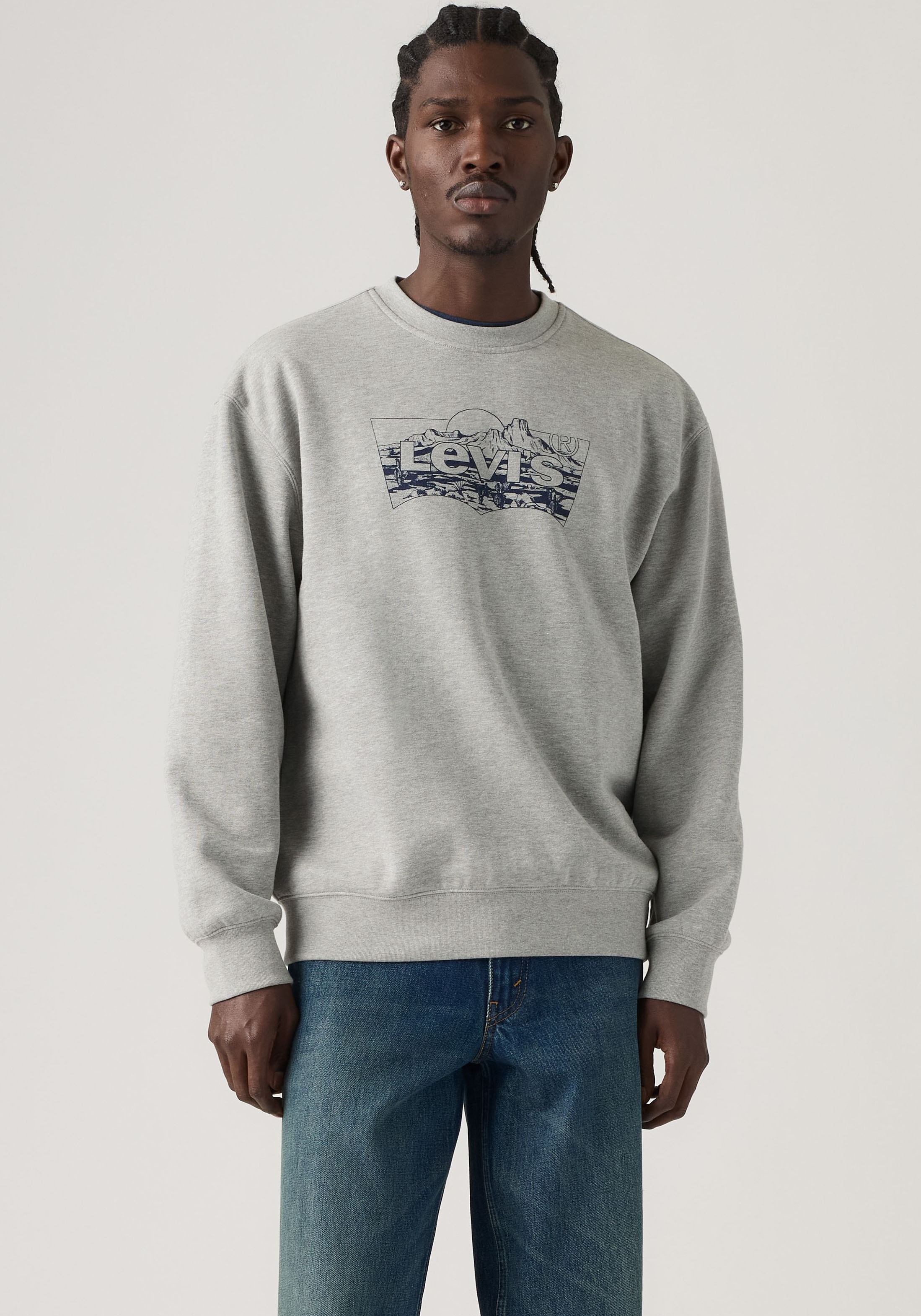 Image of Levis Sweatshirt "RELAXD GRAPHIC CREW NEUTRALS"