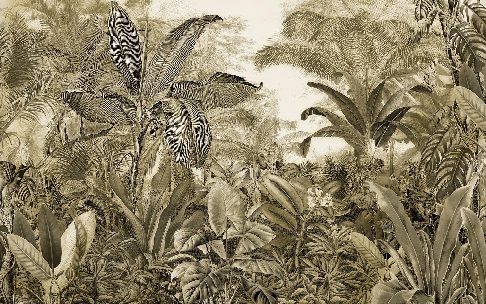 Image of Komar Fototapete "Digitaldruck Vlies - Adventure Awaits - Grösse 400 x 250 cm" bedruckt floral geblümt gemustert tropisch glatt Wohnzimmer, Schlafzimmer