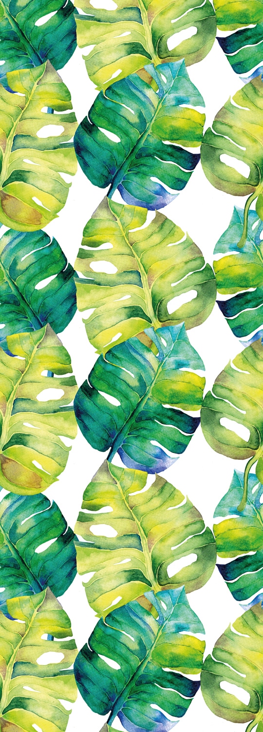 Image of queence Vinyltapete "Ibrahim" Motiv bedruckt botanisch floral gemustert natürlich glatt 90x250cm, selbstklebend, kinderleichte Anbringung, Sticker