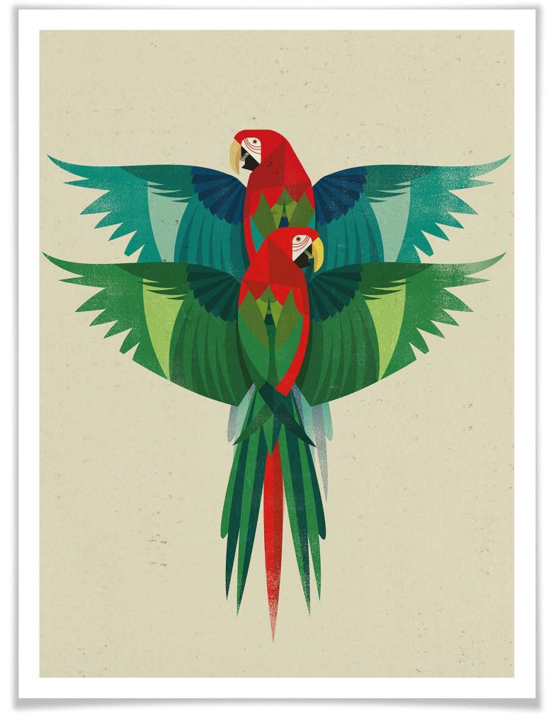 Image of Wall-Art Poster »Ara«, Papageien, (1 St.), Poster, Wandbild, Bild, Wandposter bei Ackermann Versand Schweiz