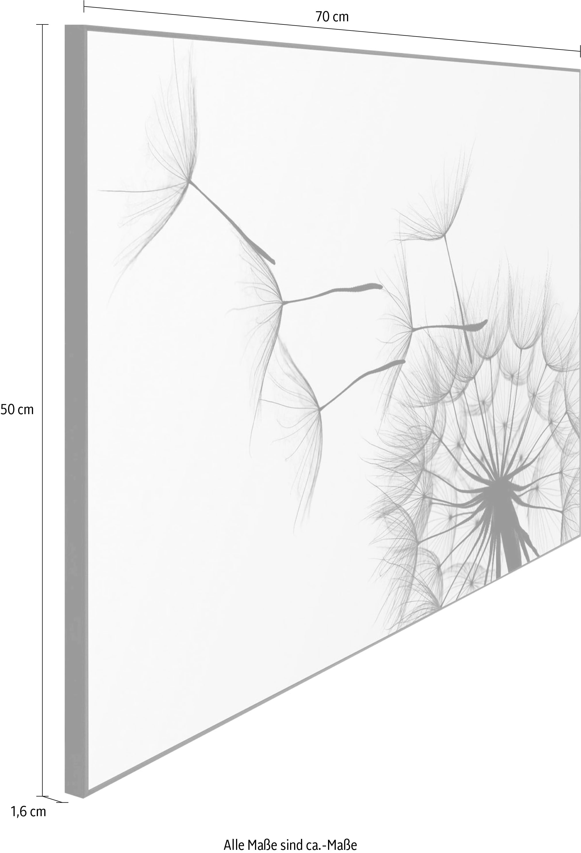 Reinders! Fresque murale »Slim Frame Black 50x70 Dandelion«