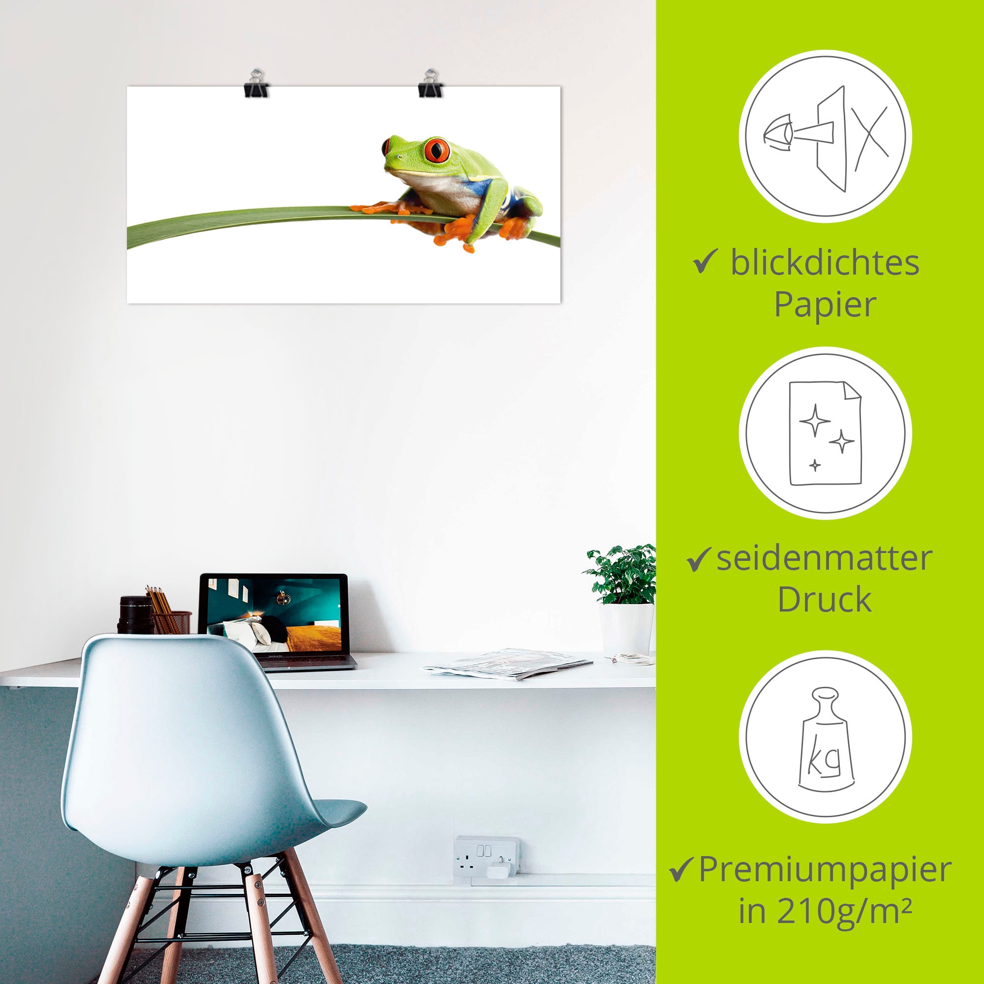 Artland Wandbild »Frosch auf einem Blatt« Wassertiere 1 Stk. tlg. als Leinwandbild, Poster in verschied. Grössen