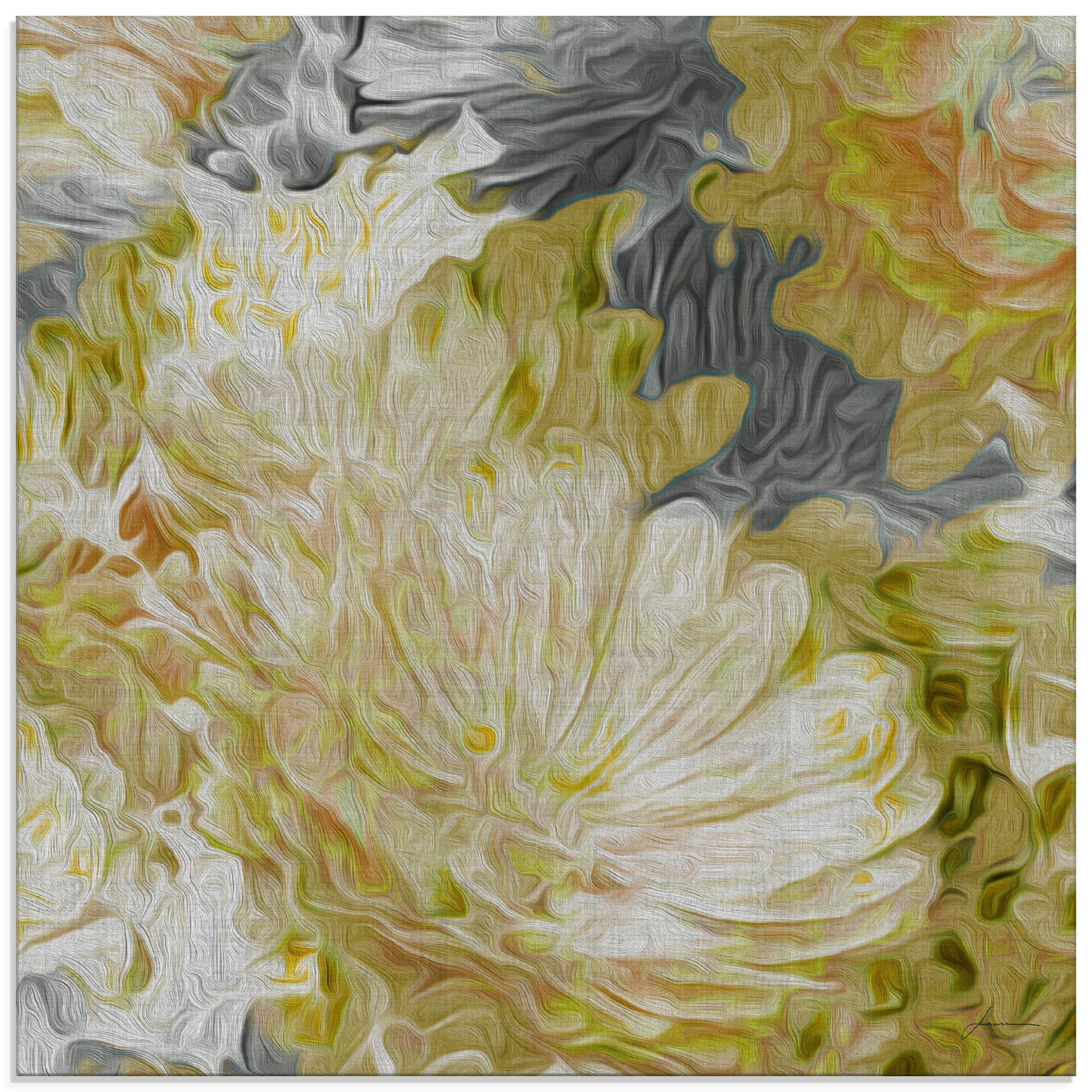 Image of Artland Glasbild »Chrysanthemen in der Sonne II«, Blumen, (1 St.) bei Ackermann Versand Schweiz