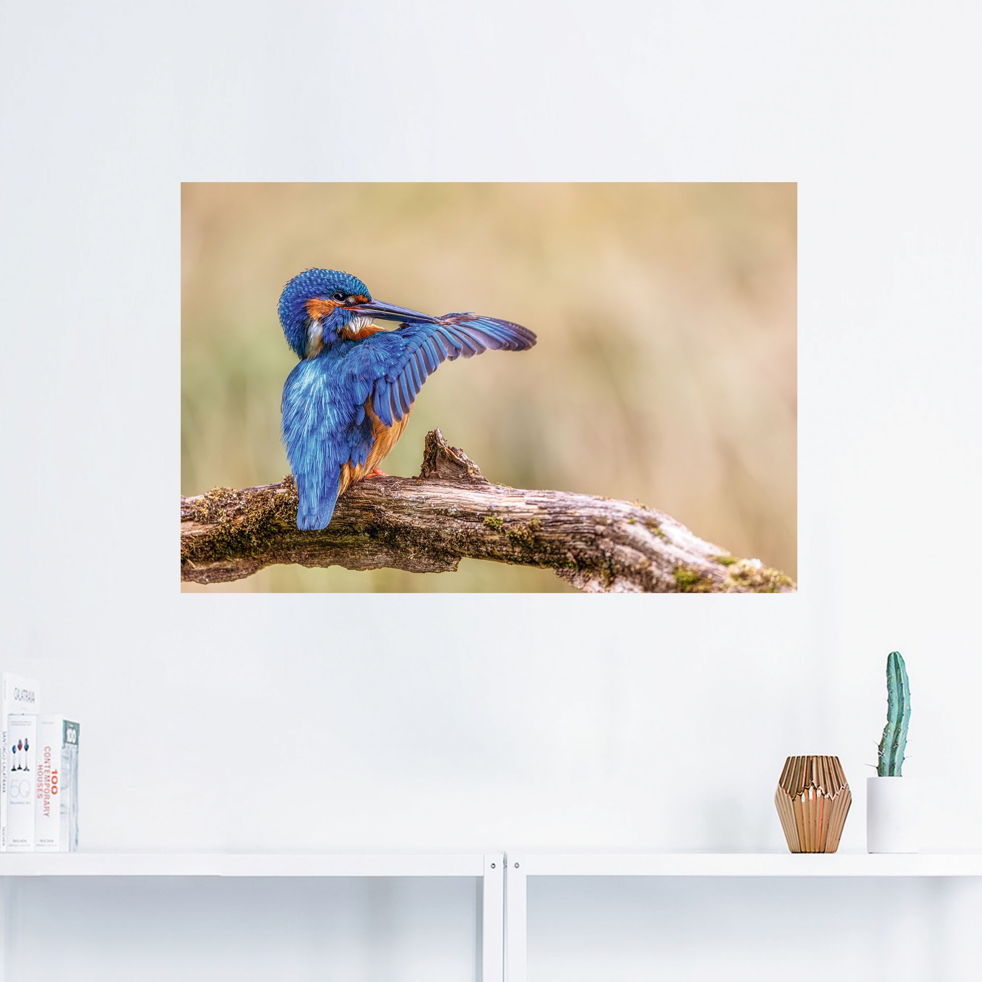 Artland Alu-Dibond-Druck »Eisvogel II«, Vogelbilder, (1 St.), selbstklebend