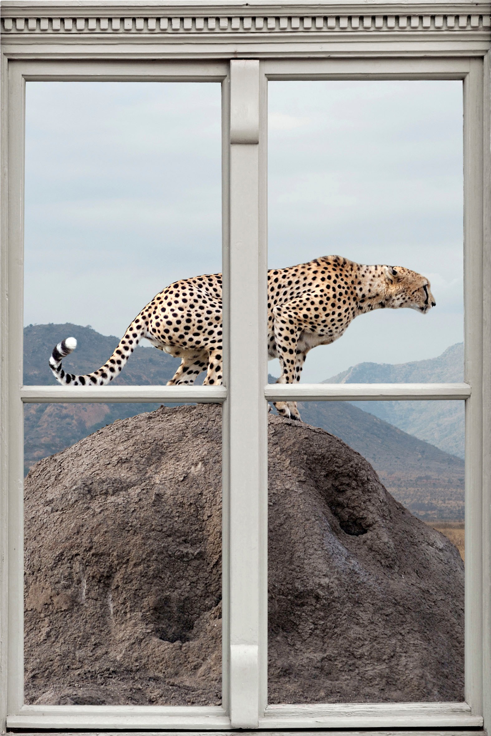 Image of queence Wandsticker "Gepard" Wandsticker, Wandbild, selbstklebend, 3D, Fenster