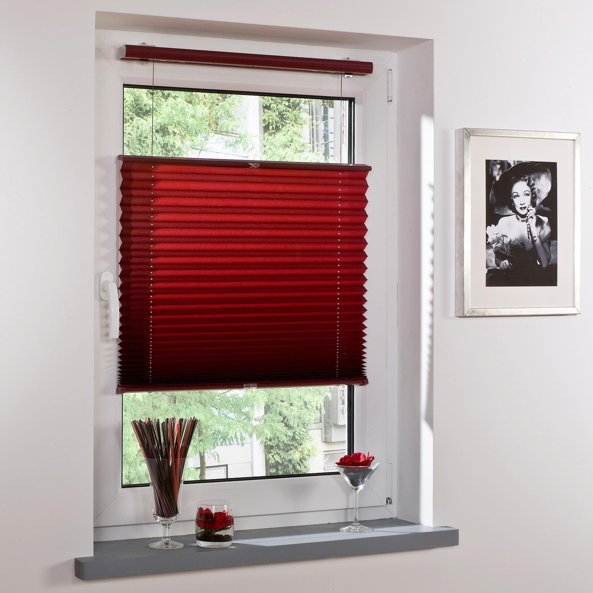 Image of Liedeco Jalousie, Faltenstore, Lichtschutz bei Ackermann Versand Schweiz