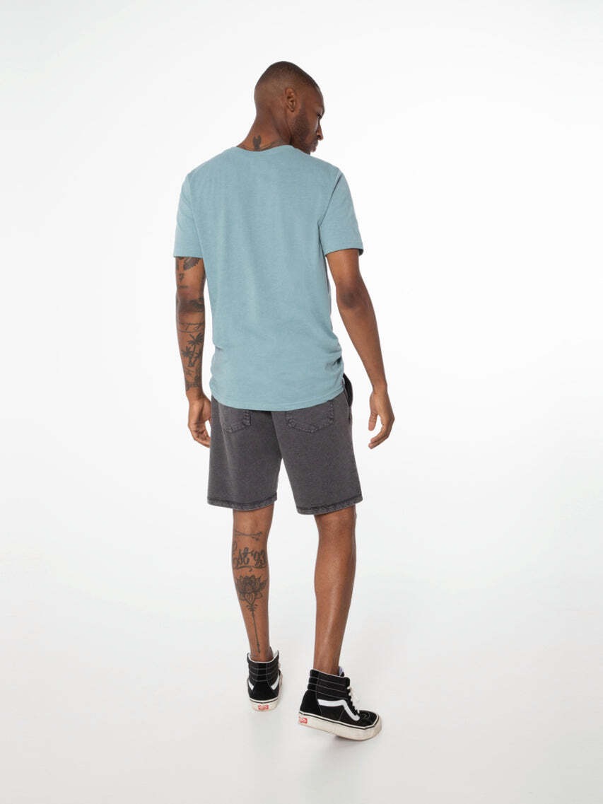 Protest Short »Shorts CARVER«