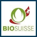 billerbeck Naturkissen »BIO-Hirsekissen, Billerbeck«, Füllung: 100% BIO-Hirseschalen, Bezug: 100% Baumwolle, aus kontrollierten biologischen Anbau (kbA), (1 St.)