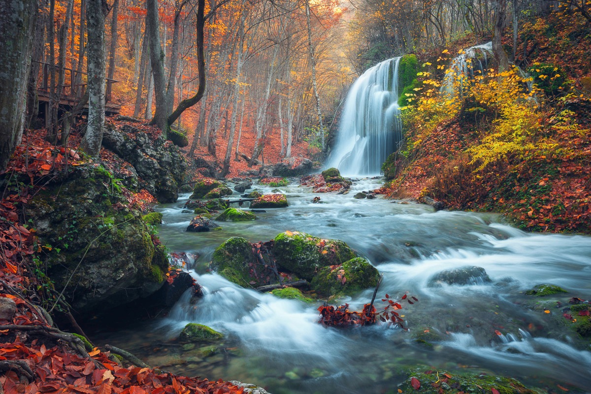 Image of Papermoon Fototapete "Wasserfall im Wald"