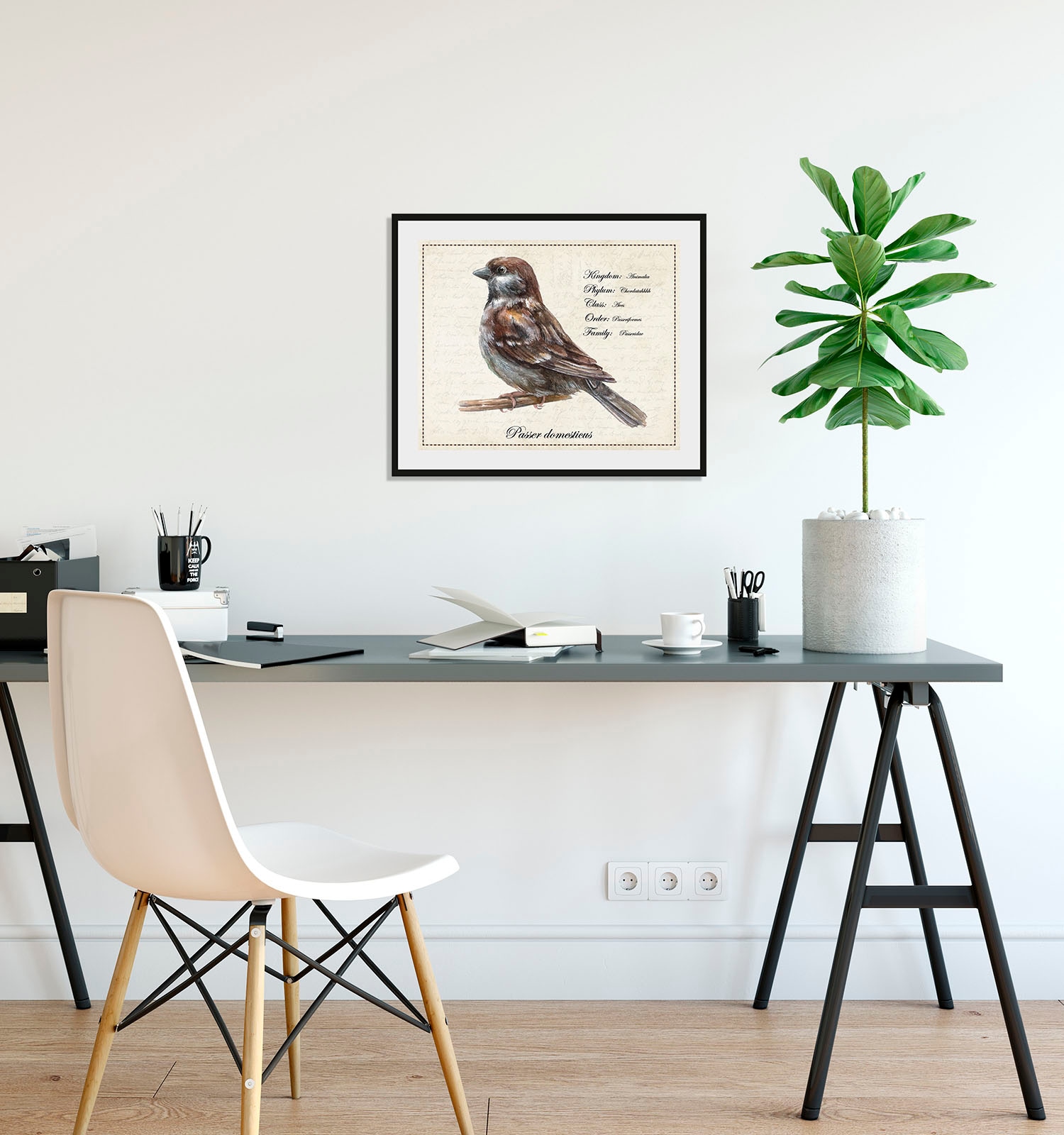 Image of queence Bild "Passer domesticus" Kunst Sprüche & Texte Vogelbilder Vögel historische Ereignisse 1 Stk. tlg. HD Premium Poster-Druck inkl. Holzrahmen