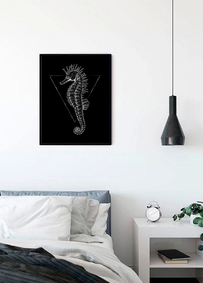 Image of Komar Bild "Sea Horse Black" Tiere 1 Stk. tlg. Wandbild zur Dekoration - ohne Rahmen