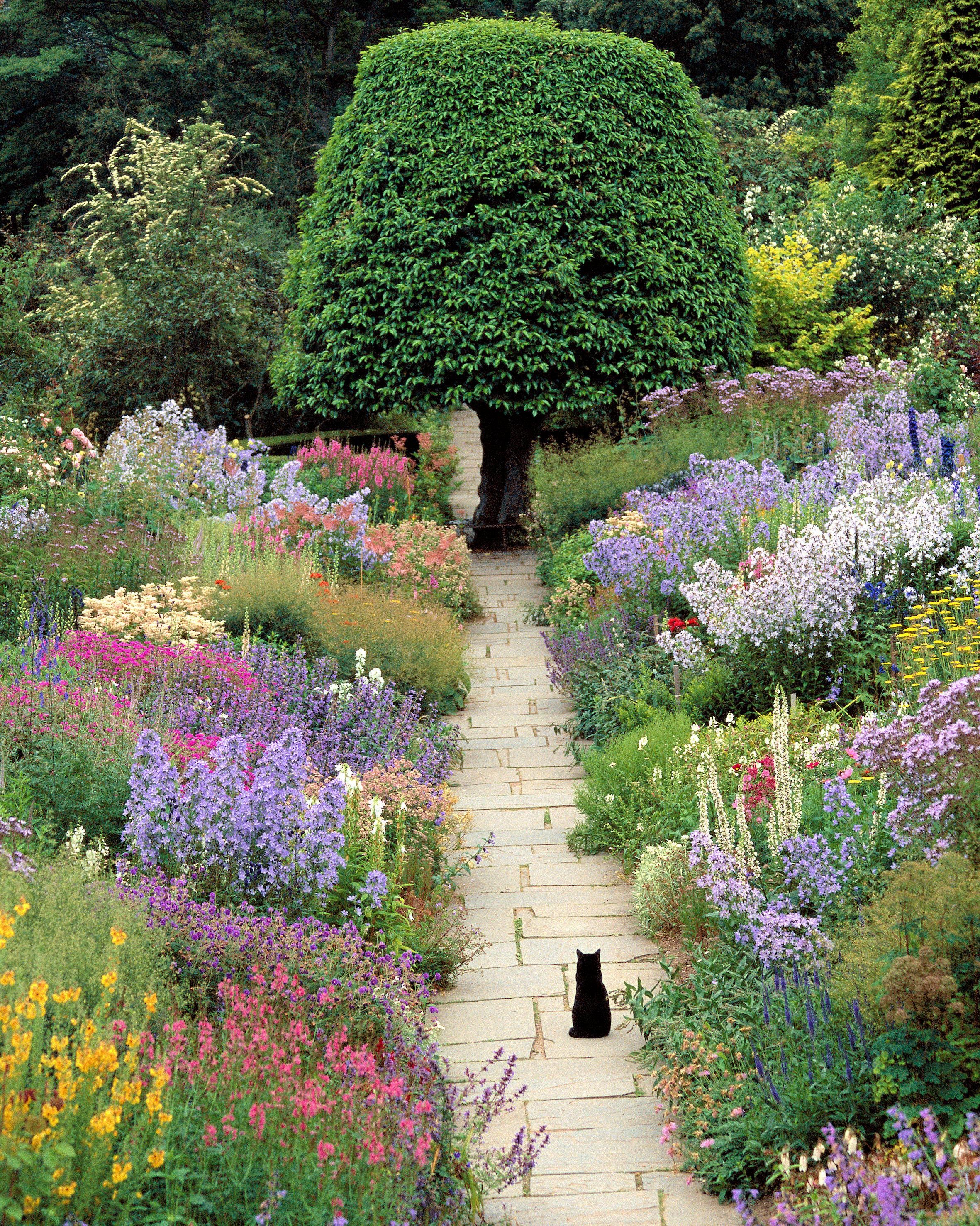 Image of my home Deco-Panel »GAWLOWSKI / Katze im Garten«, (60/3/80 cm) bei Ackermann Versand Schweiz