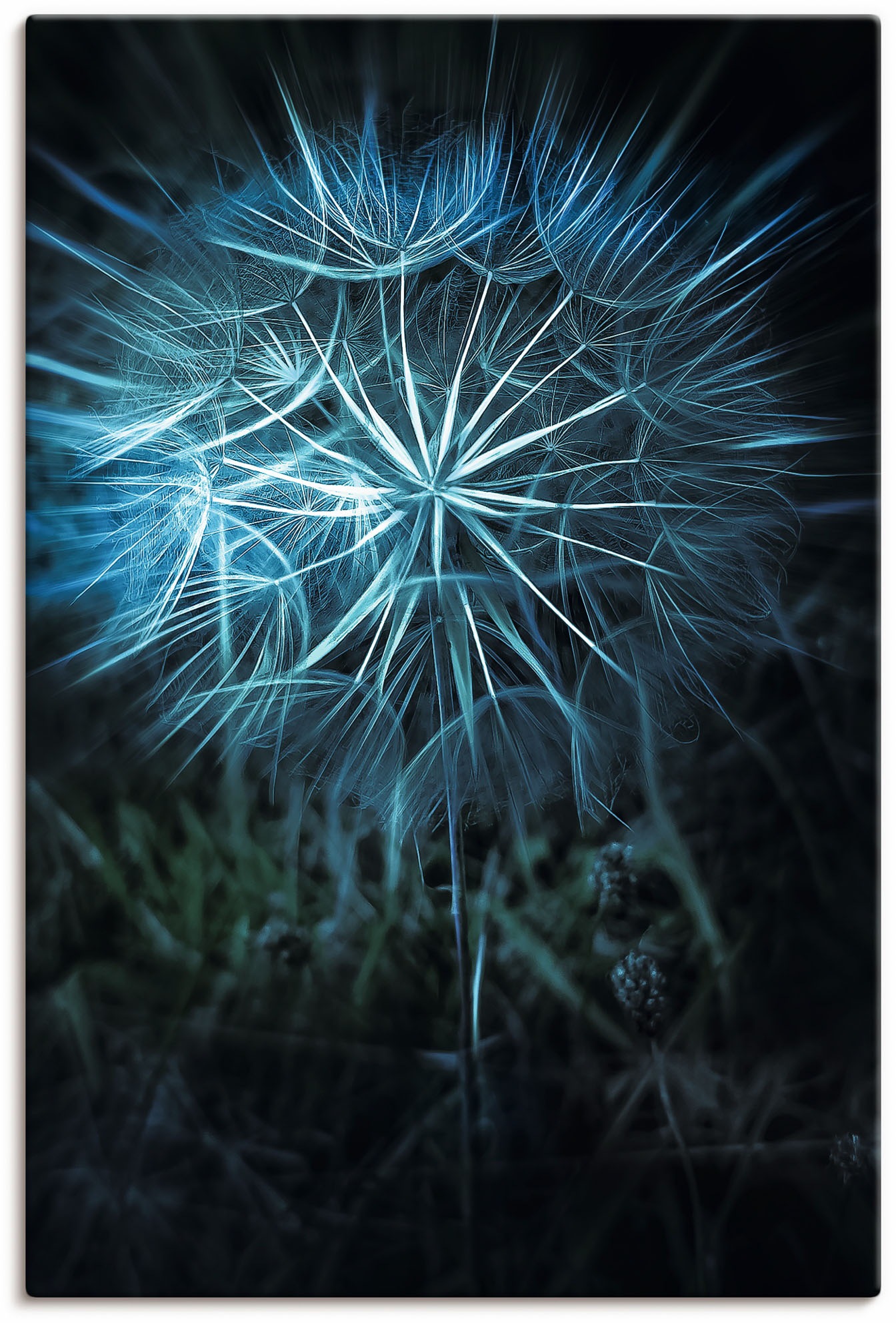 Image of Artland Wandbild »Pusteblume Nahaufnahme Blau«, Blumenbilder, (1 St.), in vielen Grössen & Produktarten - Alubild / Outdoorbild für den Aussenbereich, Leinwandbild, Poster, Wandaufkleber / Wandtattoo auch für Badezimmer geeignet bei Ackermann Versand Schw