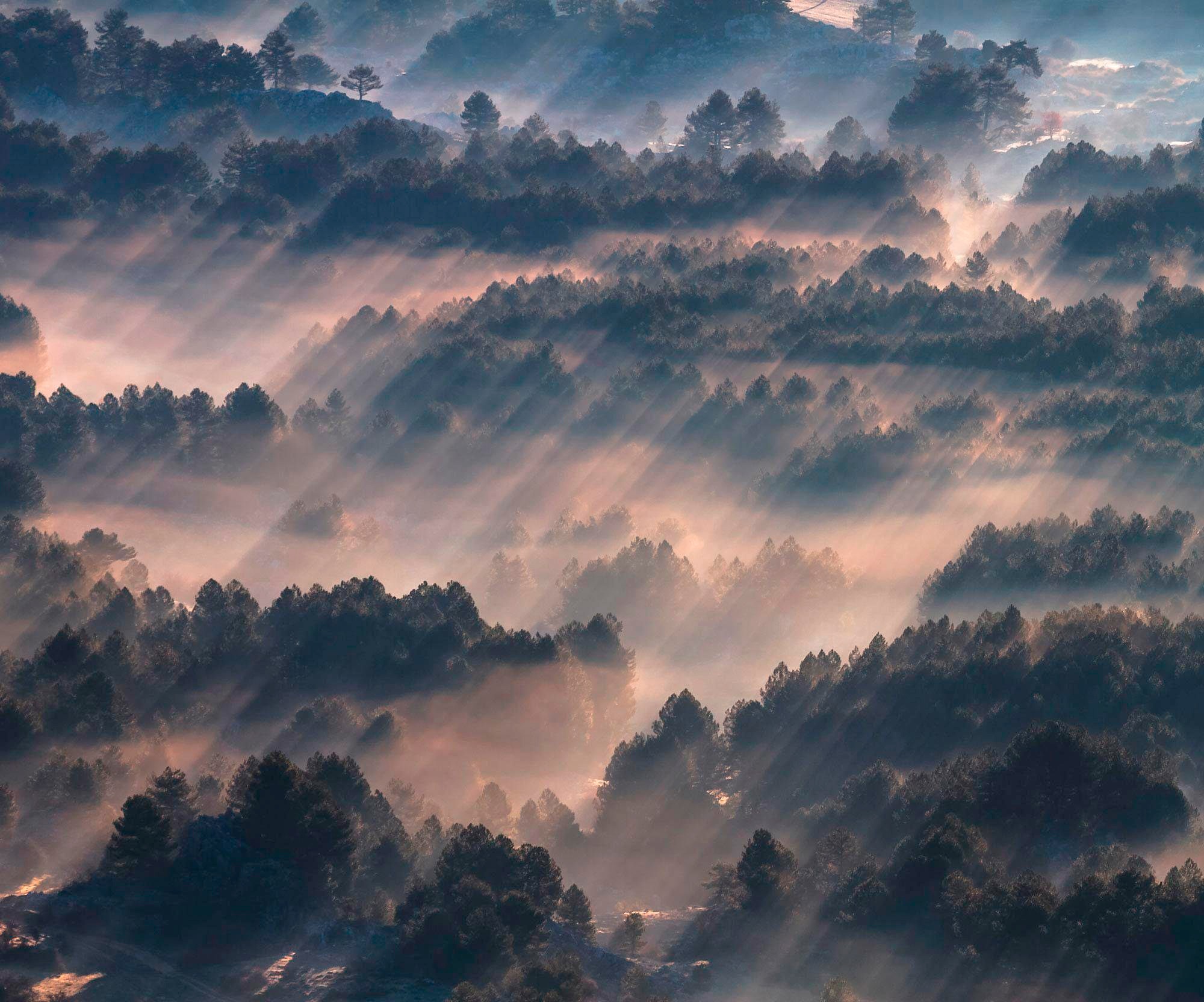 Image of Komar Vliestapete »Pure Rays«, naturalistisch bei Ackermann Versand Schweiz