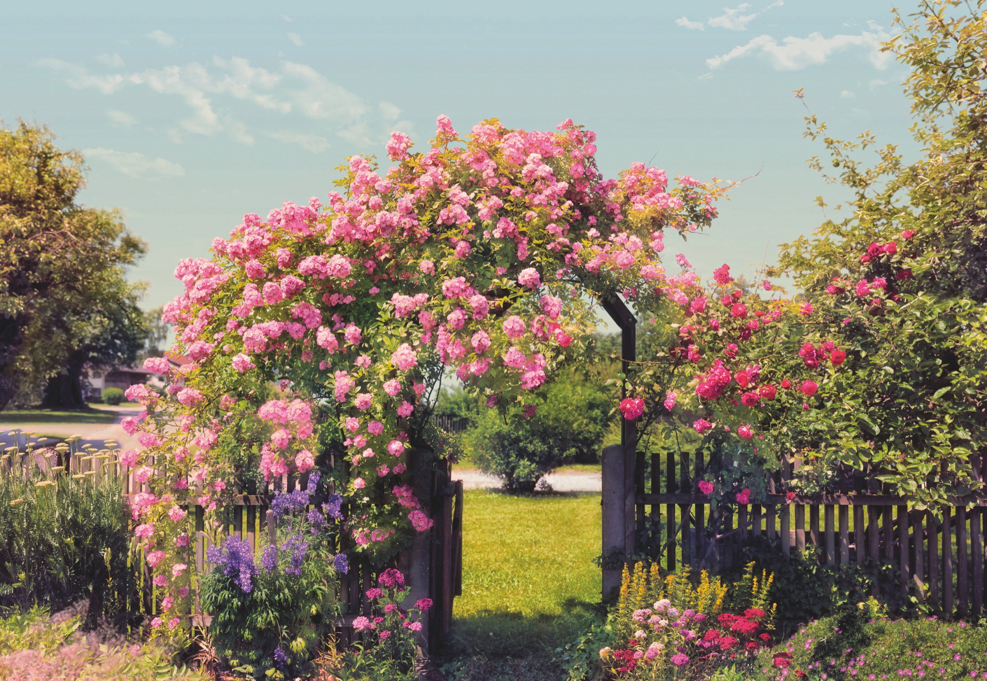 Image of Komar Fototapete "Rose Garden - Grösse 368 x 254 cm" bedruckt glatt Wohnzimmer, Schlafzimmer