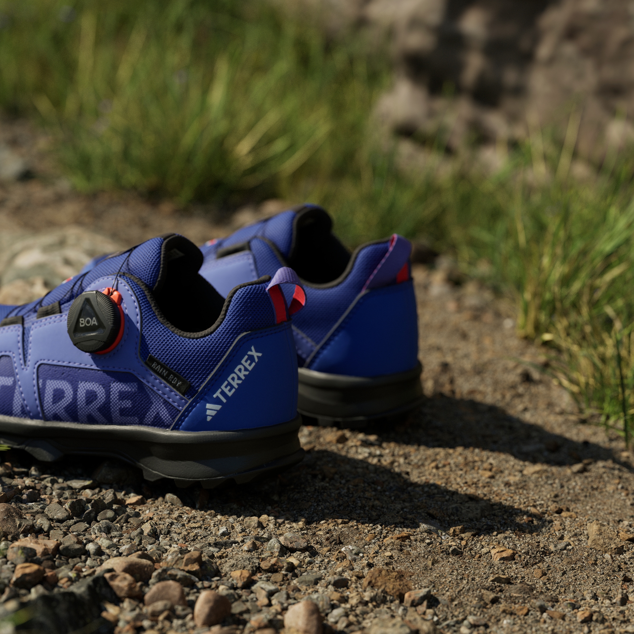 adidas TERREX Trailrunningschuh »AGRAVIC BOA RAIN.RDY TRAILRUNNING«, wasserdicht