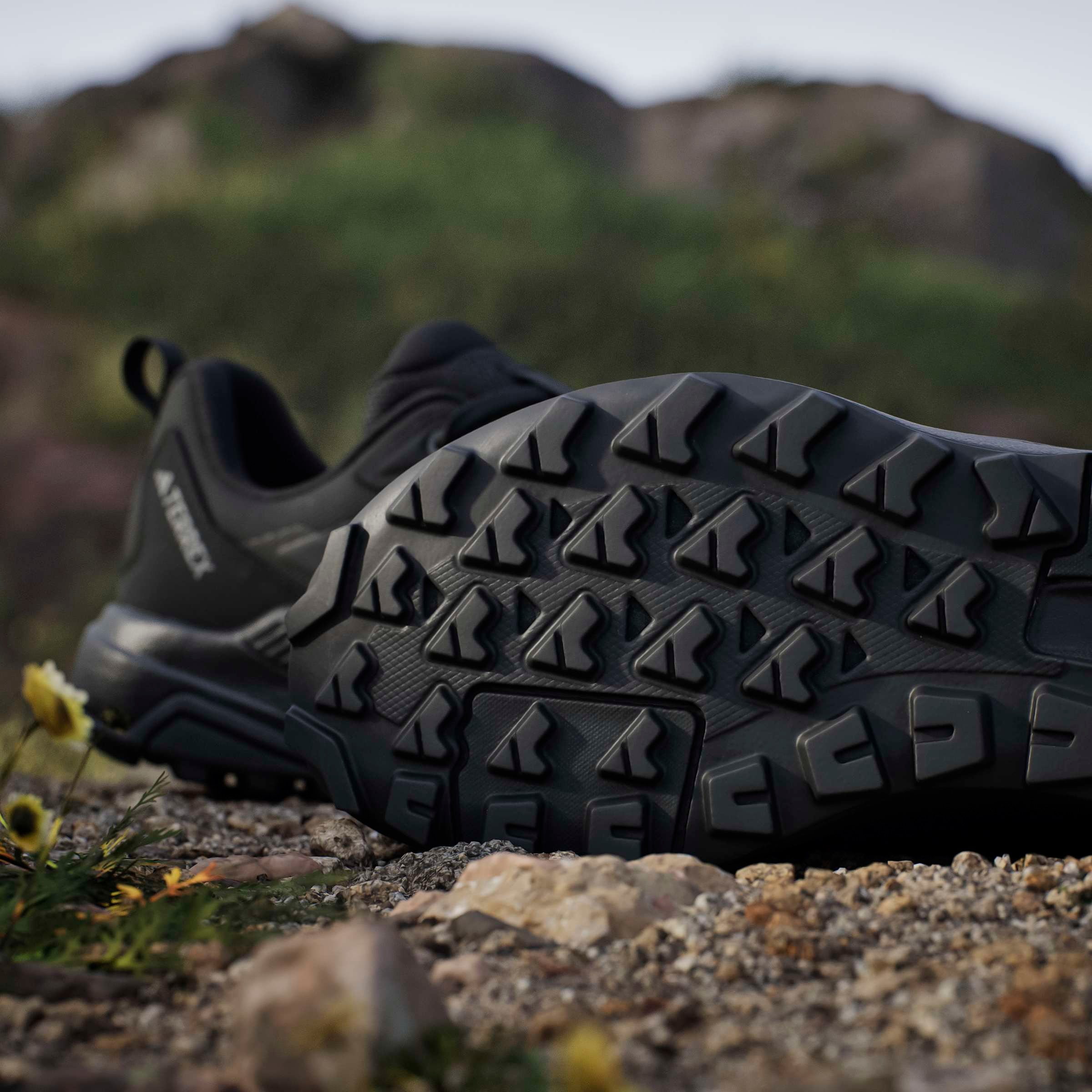 adidas TERREX Chaussure de randonnée »TERREX ANYLANDER«