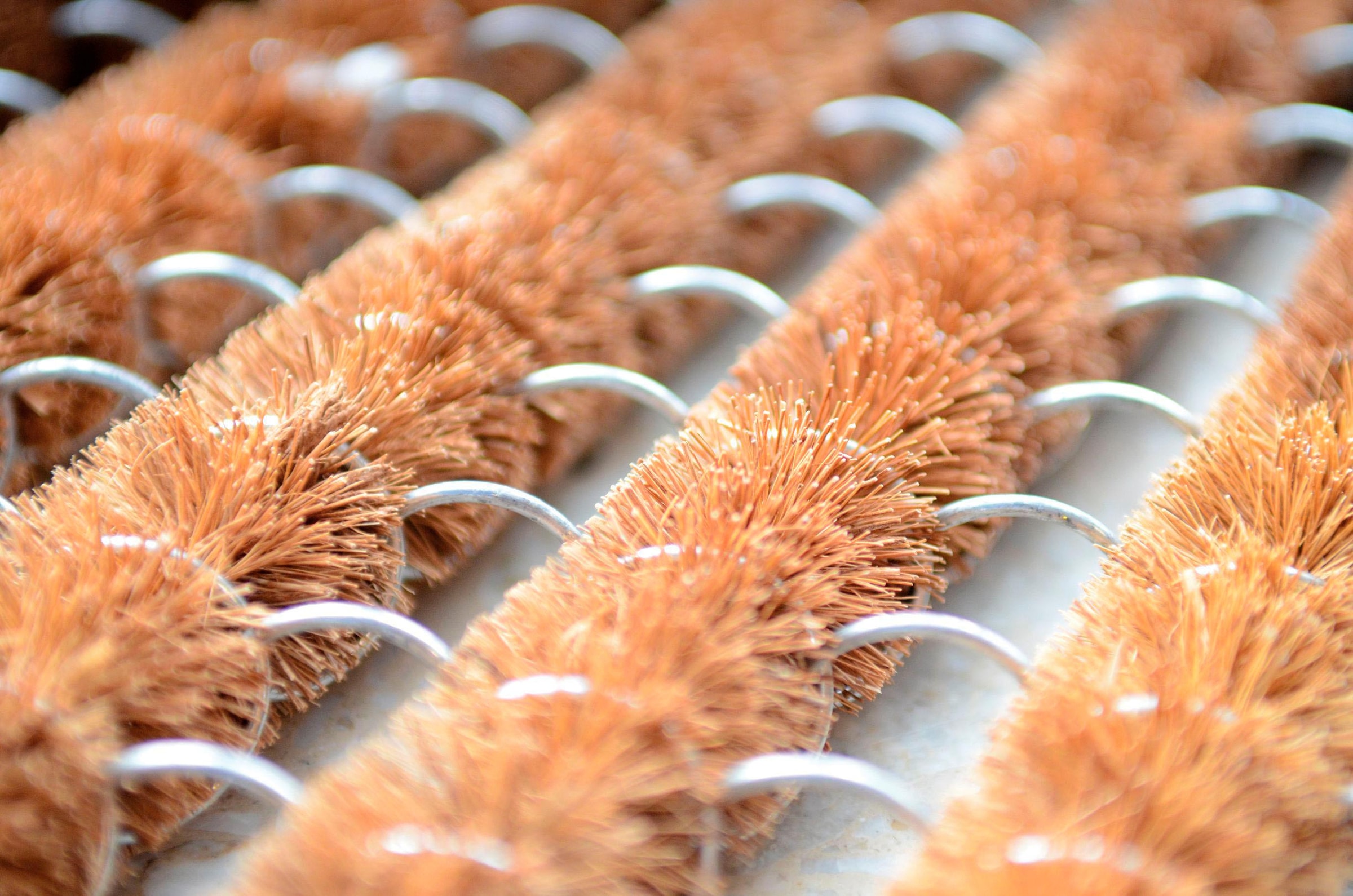 ASTRA Fussmatte »Coco Brush 561«, rechteckig, 32 mm Höhe, Schmutzfangmatte, In -und Outdoor geeignet