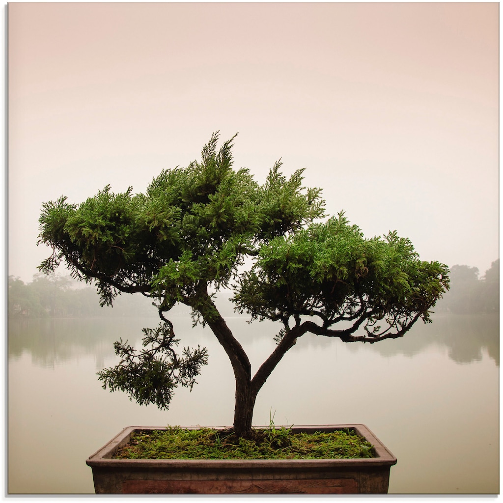 Artland Glasbild »Chinesischer Bonsaibaum«, Bäume, (1 St.)