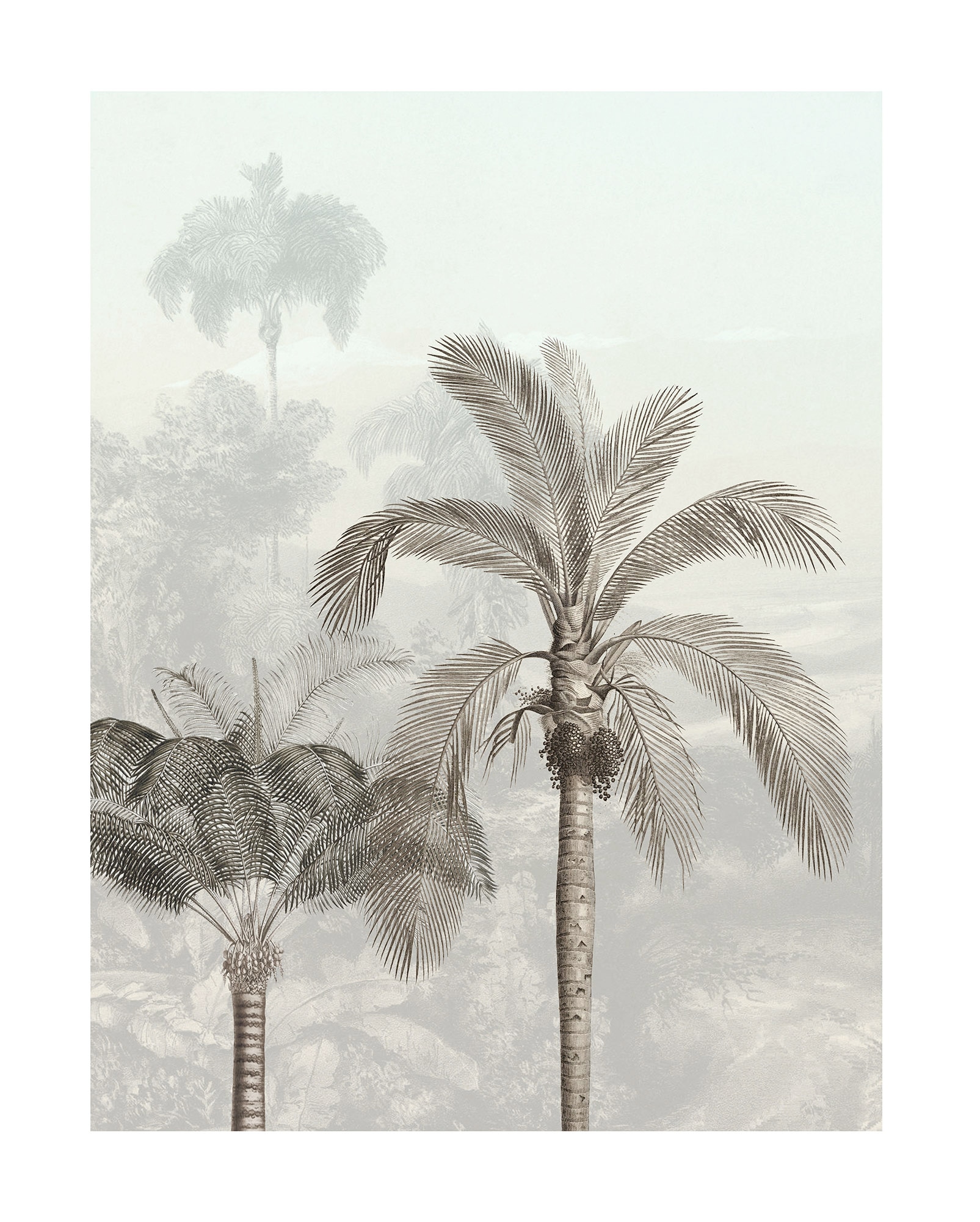 ♕ Komar Poster »Jungle Panorama«, auf St.) (1 versandkostenfrei