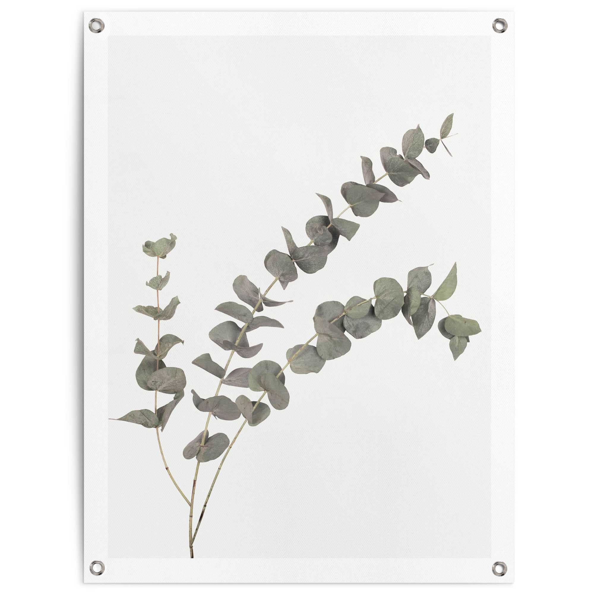 Image of Reinders Poster "Eukalyptus" Outdoor für Garten oder Balkon