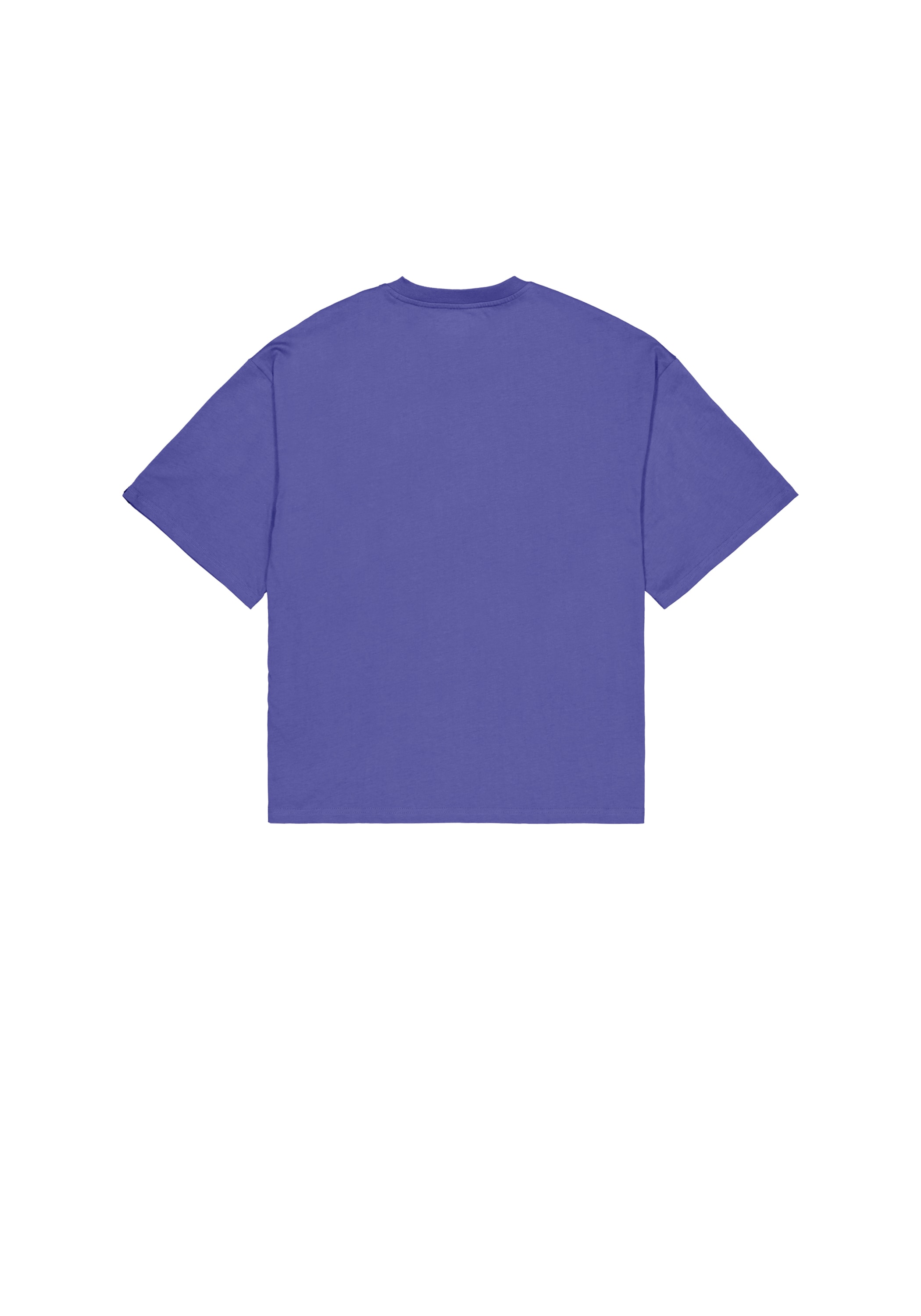 Alpha Industries T-Shirt »Studio Edition Vibe T-Shirt«