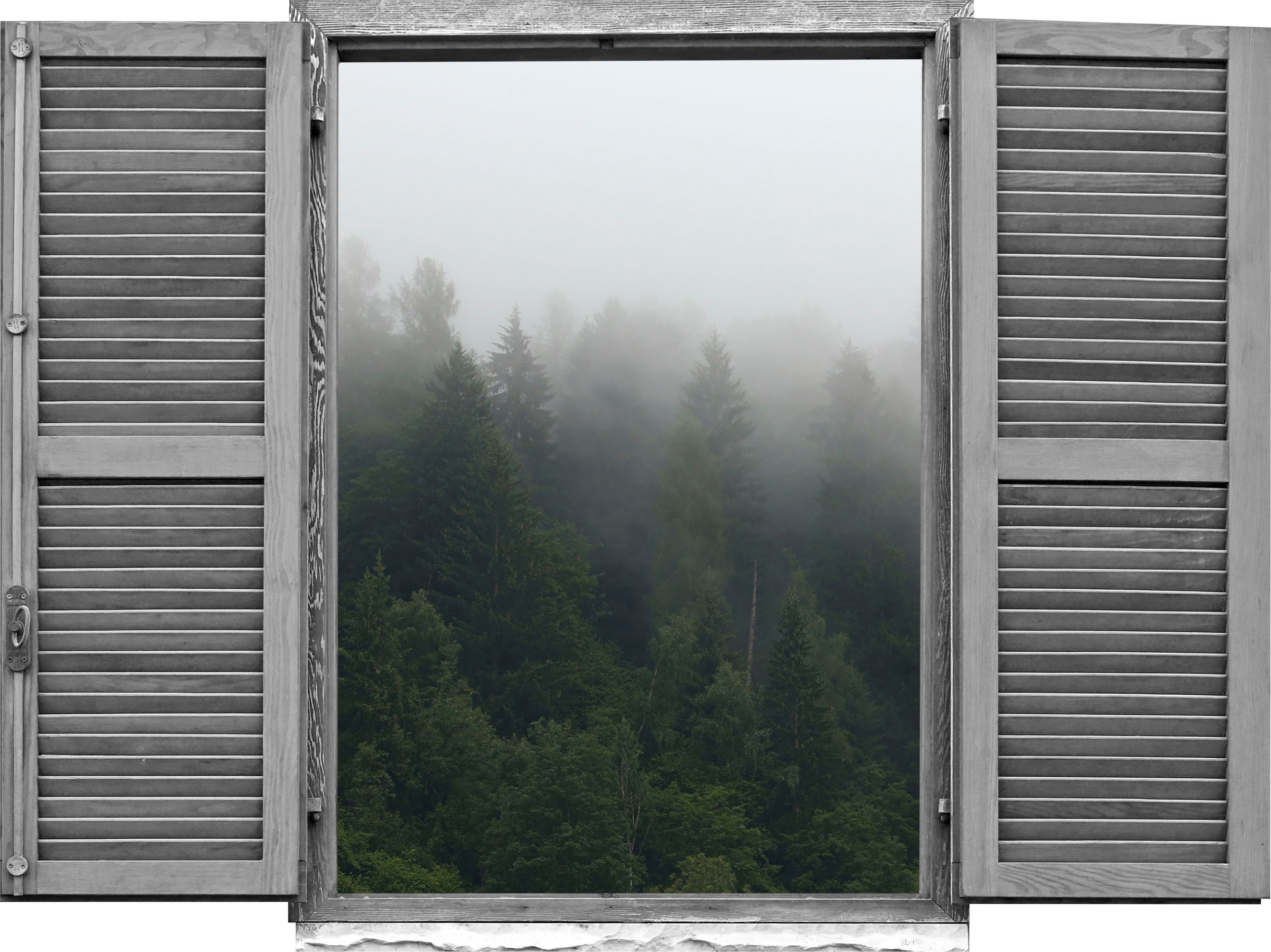 Image of queence Wandtattoo "Wald" Wandsticker, Wandbild, selbstklebend, 3D, Fenster