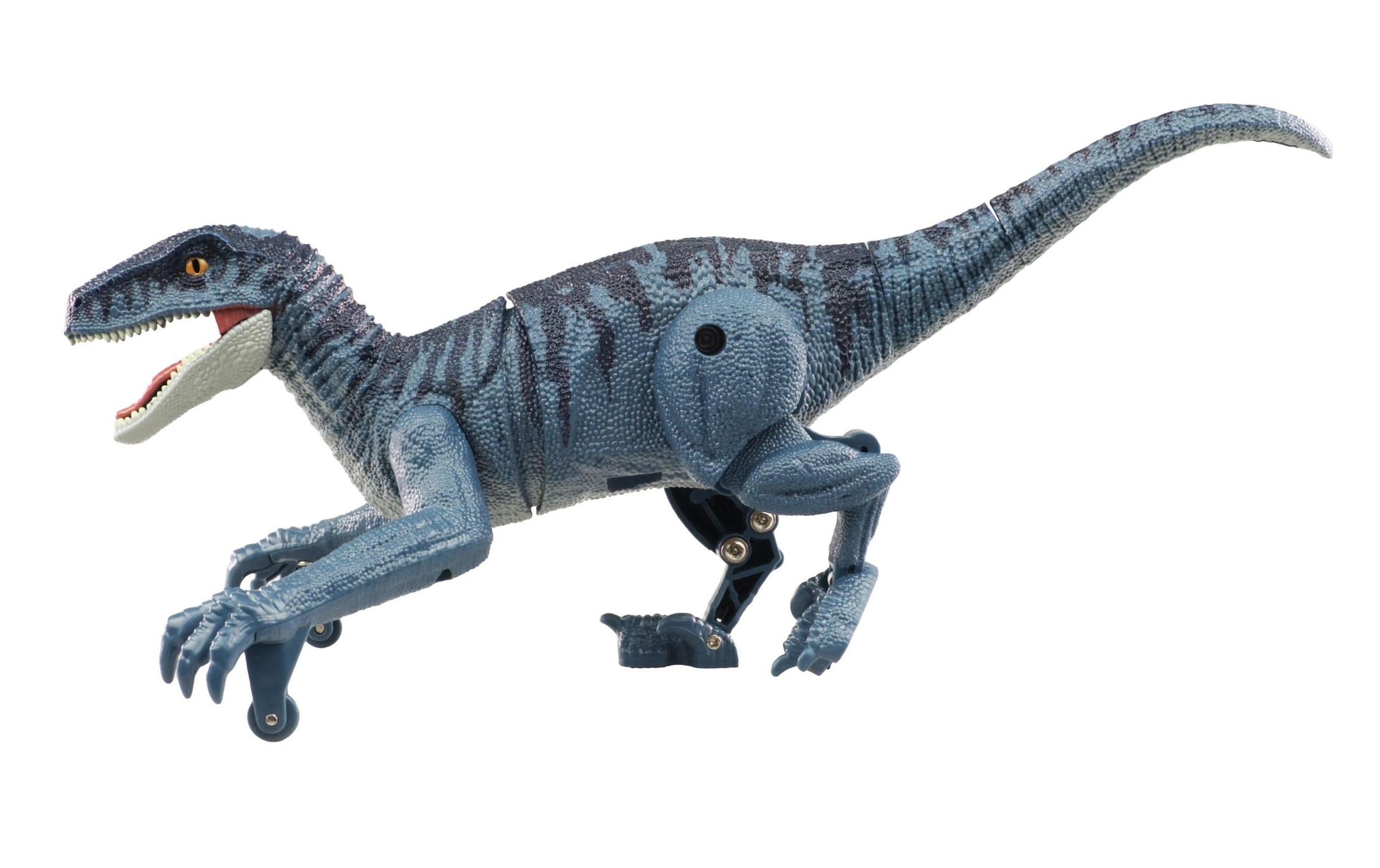 Amewi RC-Tier »Velociraptor Blaugrau, RTR«