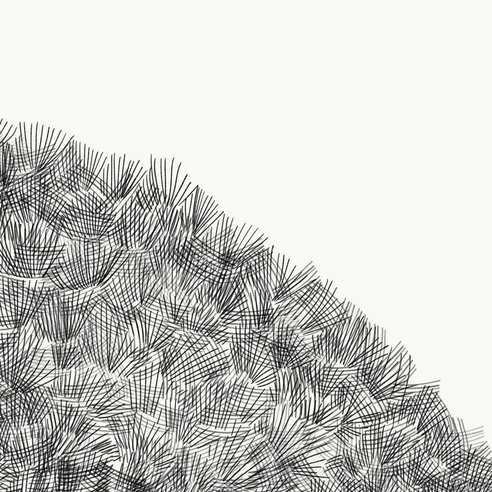 Komar Fototapete »Vlies Fototapete - Shoreline - Grösse 300 x 250 cm« Motiv | bedruckt glatt