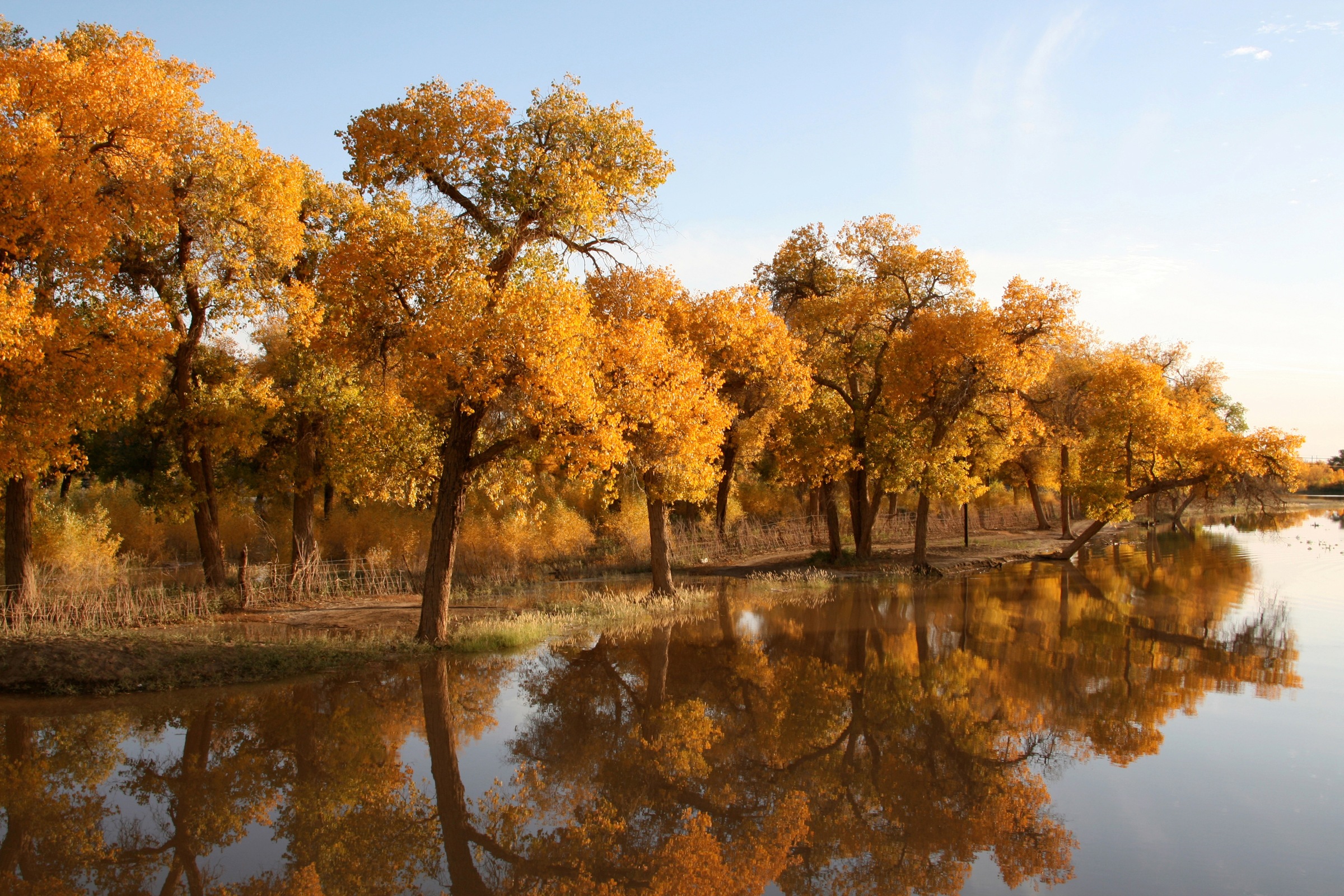 Image of Papermoon Fototapete "HERBST LANDSCHAFT-CHINA SEE WALD BÄUME STRAND SONNE"