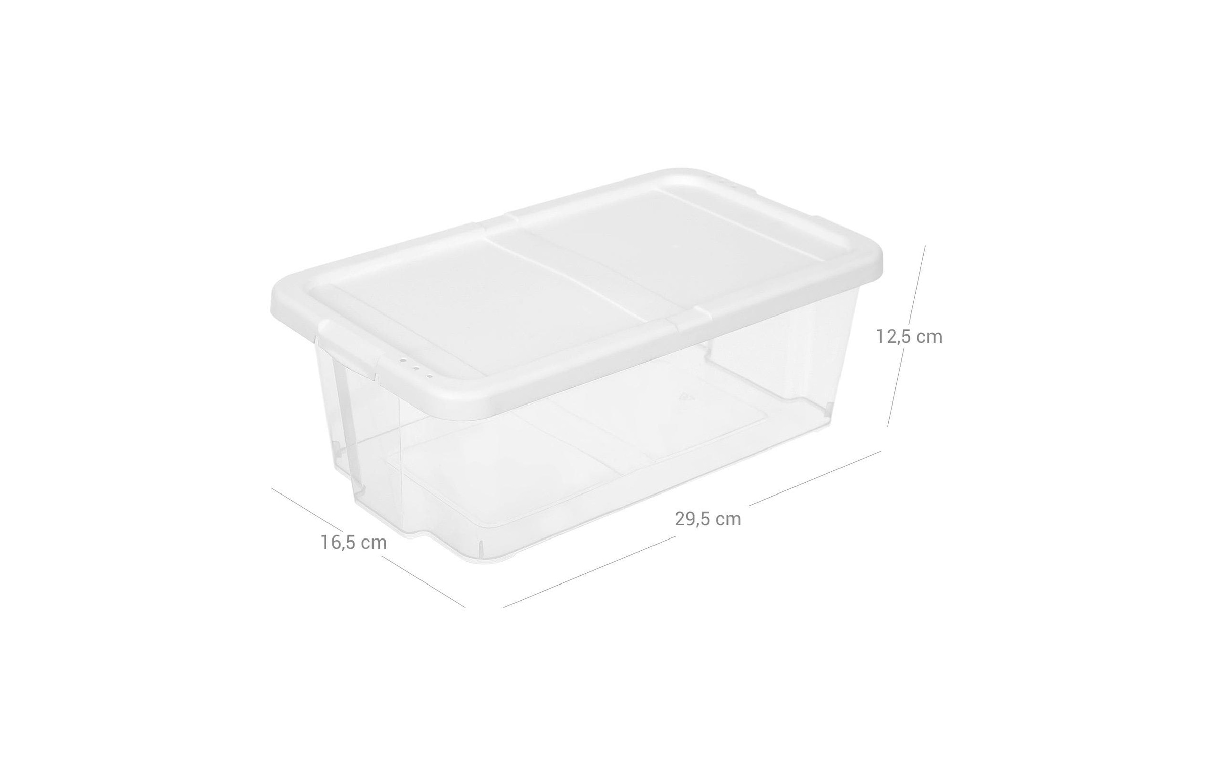 SONGMICS Boîte à chaussures »mit Deckel 12-teilig«