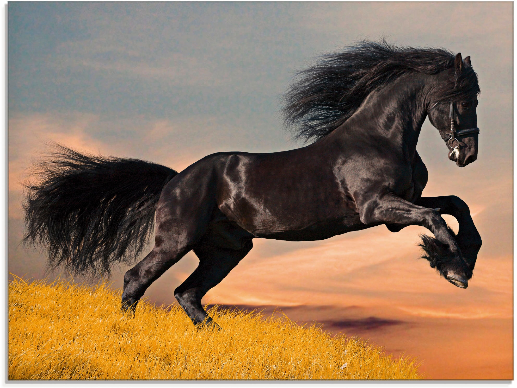 Artland Tableau en verre »Friesischer Hengstgalopp« 1 cuis tlg. in verschiedenen Grössen