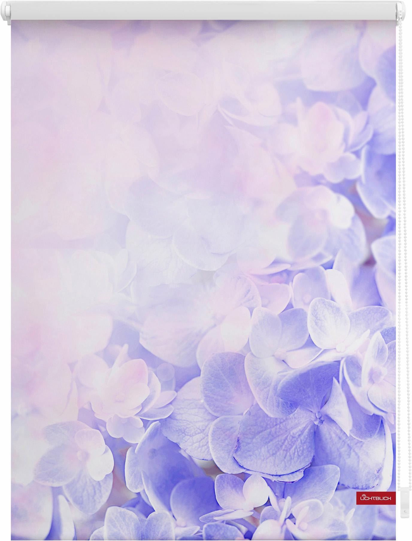 Image of LICHTBLICK ORIGINAL Seitenzugrollo "Klemmfix Motiv Hortensie" Lichtschutz ohne Bohren freihängend bedruckt