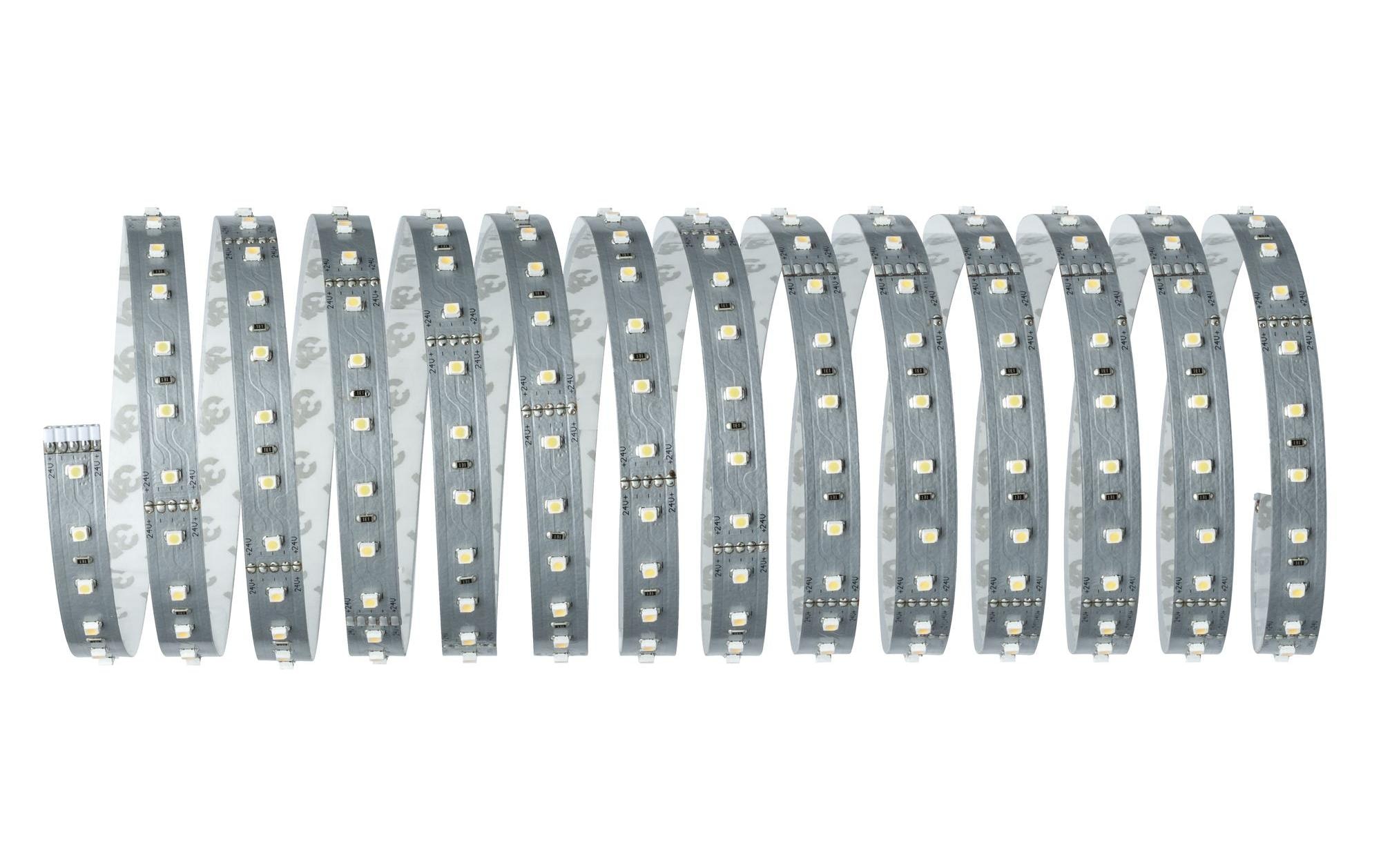 Paulmann LED-Streifen »MaxLED 500 6500«, 360 St.-flammig