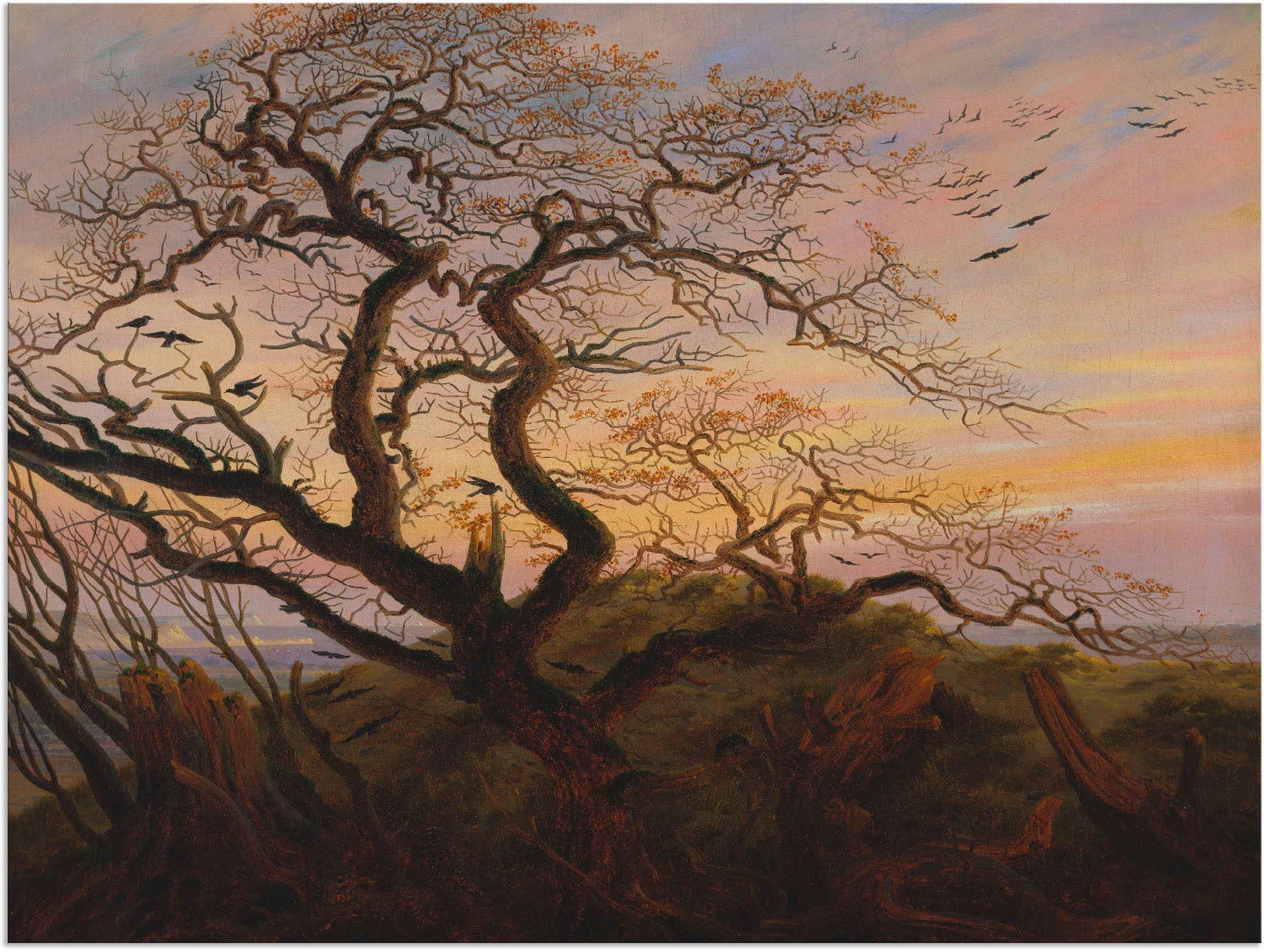 Image of Artland Wandbild »Rabenbaum Kahler Baum Küste Rügens«, Bäume, (1 St.), in vielen Grössen & Produktarten - Alubild / Outdoorbild für den Aussenbereich, Leinwandbild, Poster, Wandaufkleber / Wandtattoo auch für Badezimmer geeignet bei Ackermann Versand Schw