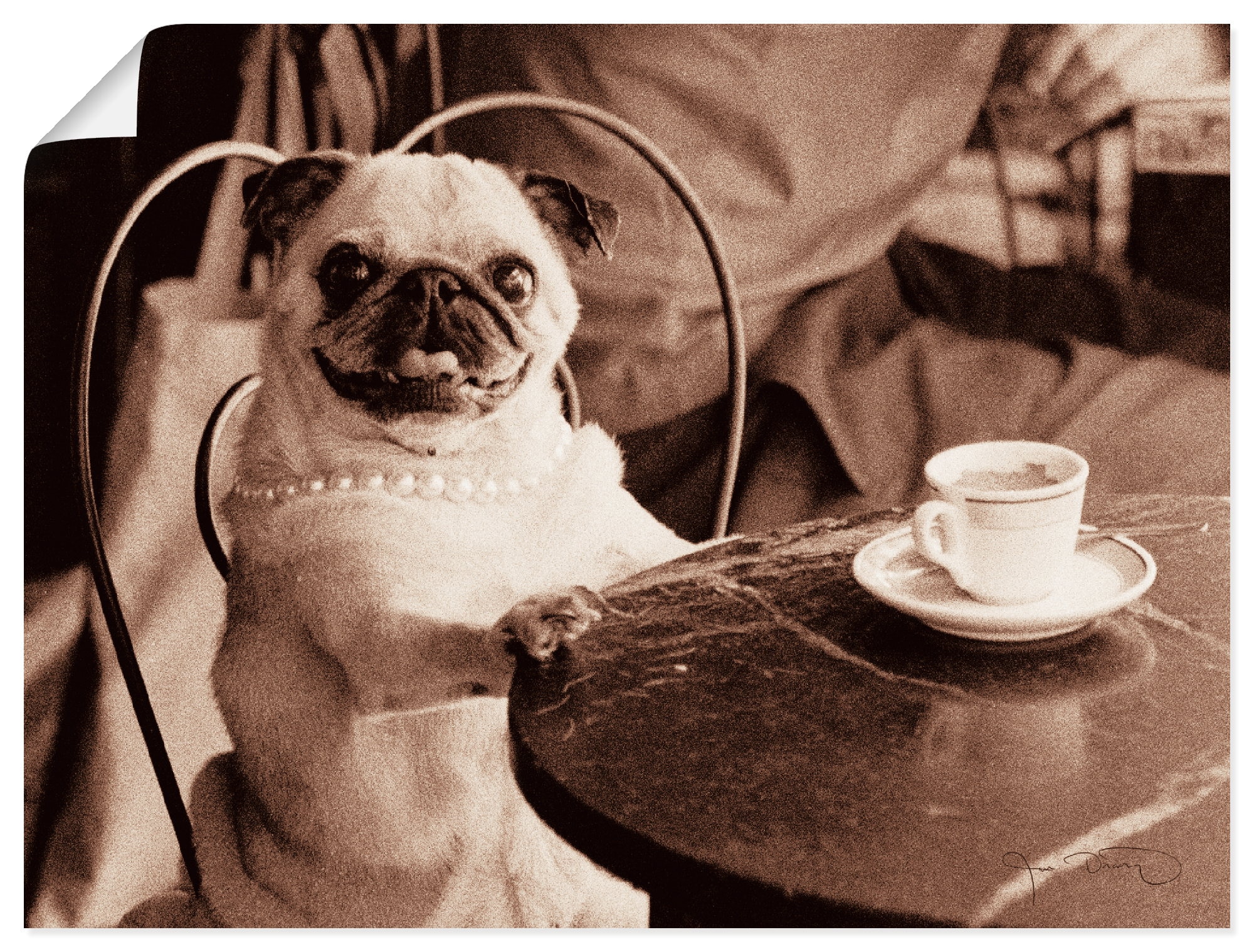 Image of Artland Wandbild "Kaffee Mops" Haustiere 1 Stk. tlg. als Leinwandbild, Poster in verschied. Grössen