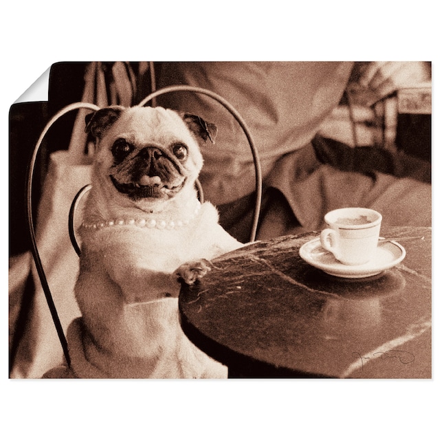 Artland Wandbild »Kaffee Mops«, Haustiere, (1 St.), als Leinwandbild,  Wandaufkleber oder Poster in versch. Grössen