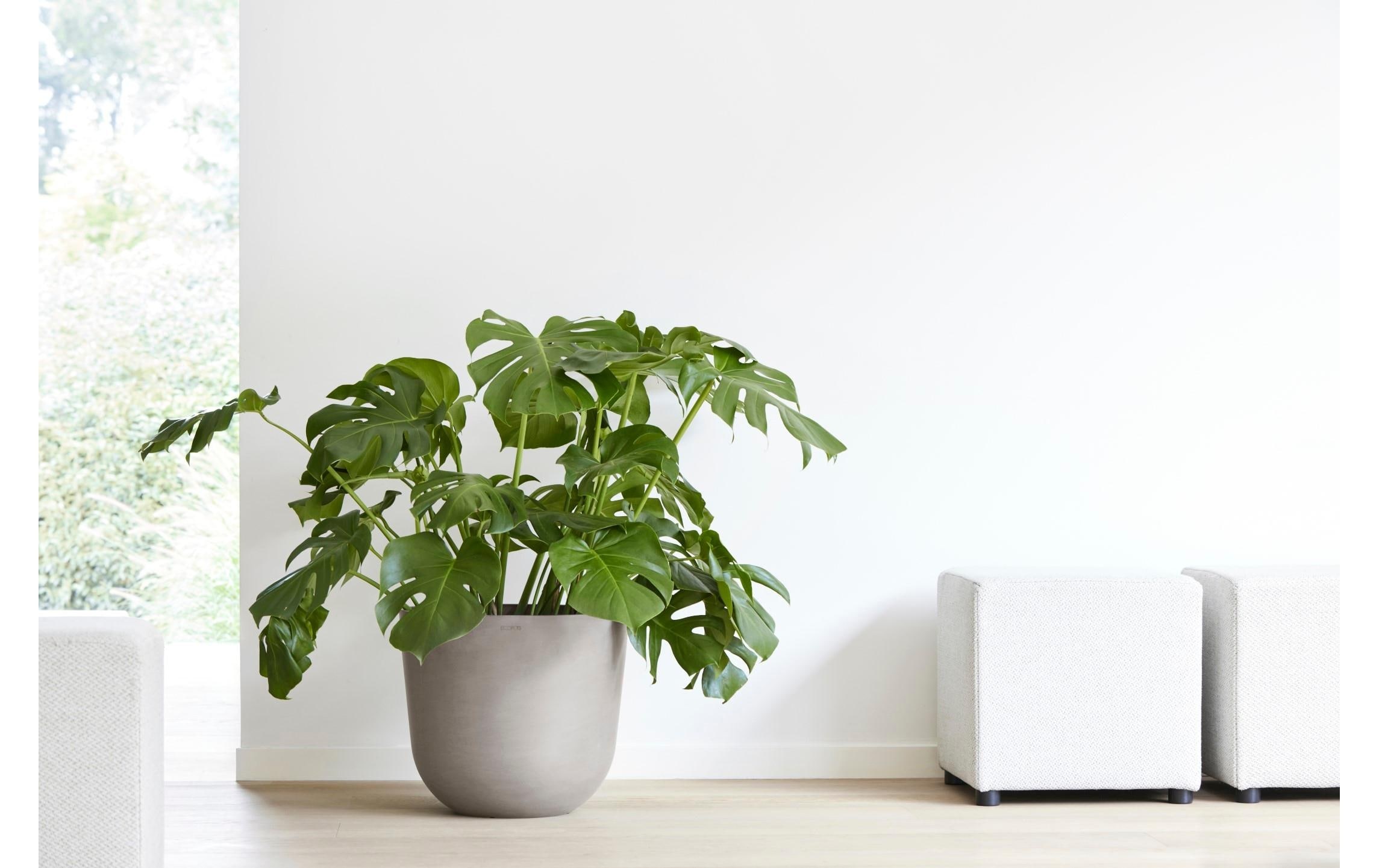 ECOPOTS Pflanzkübel »Oslo 45«, (1 St.)