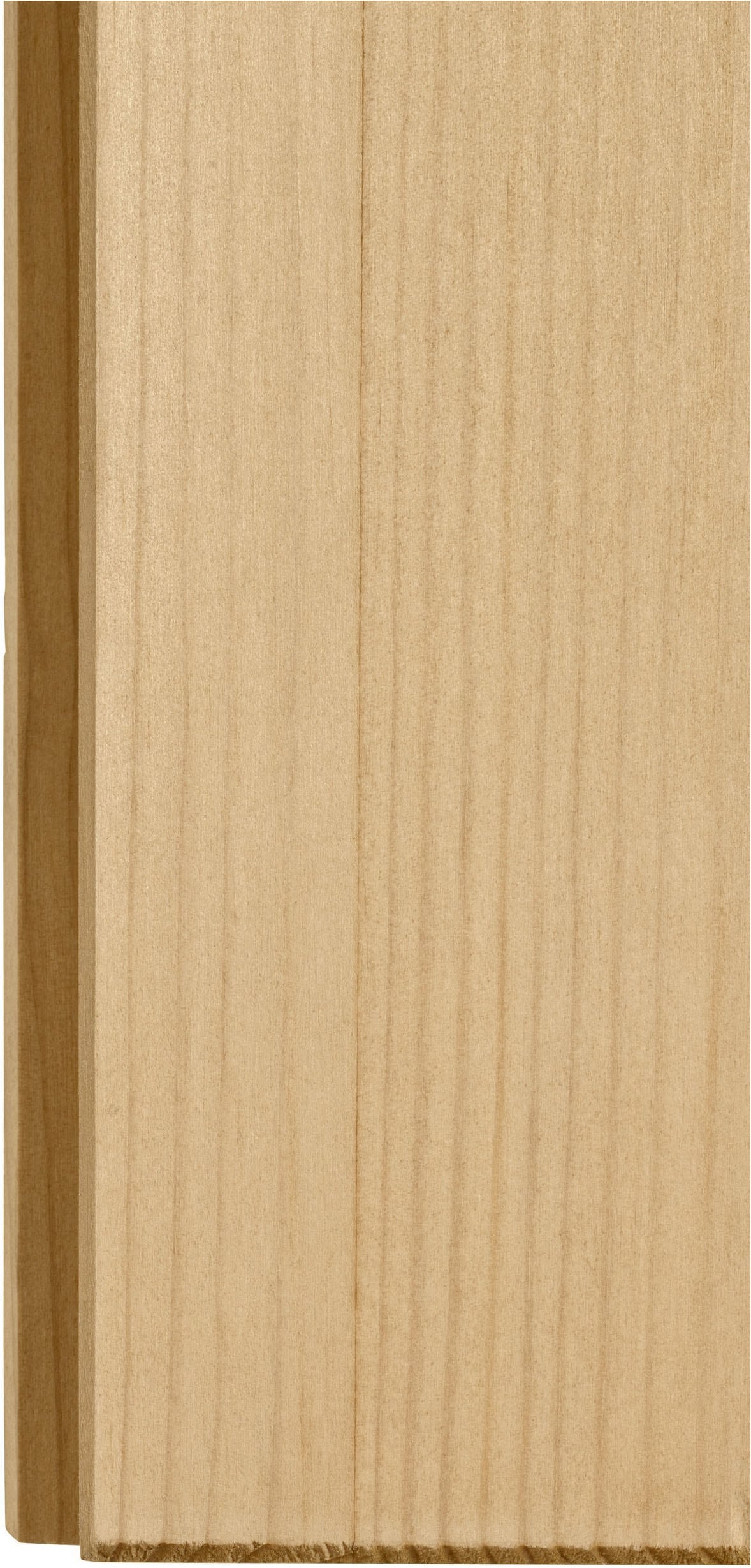Home affaire Armoire suspendue »Alby« largeur 100 cm, 2 portes